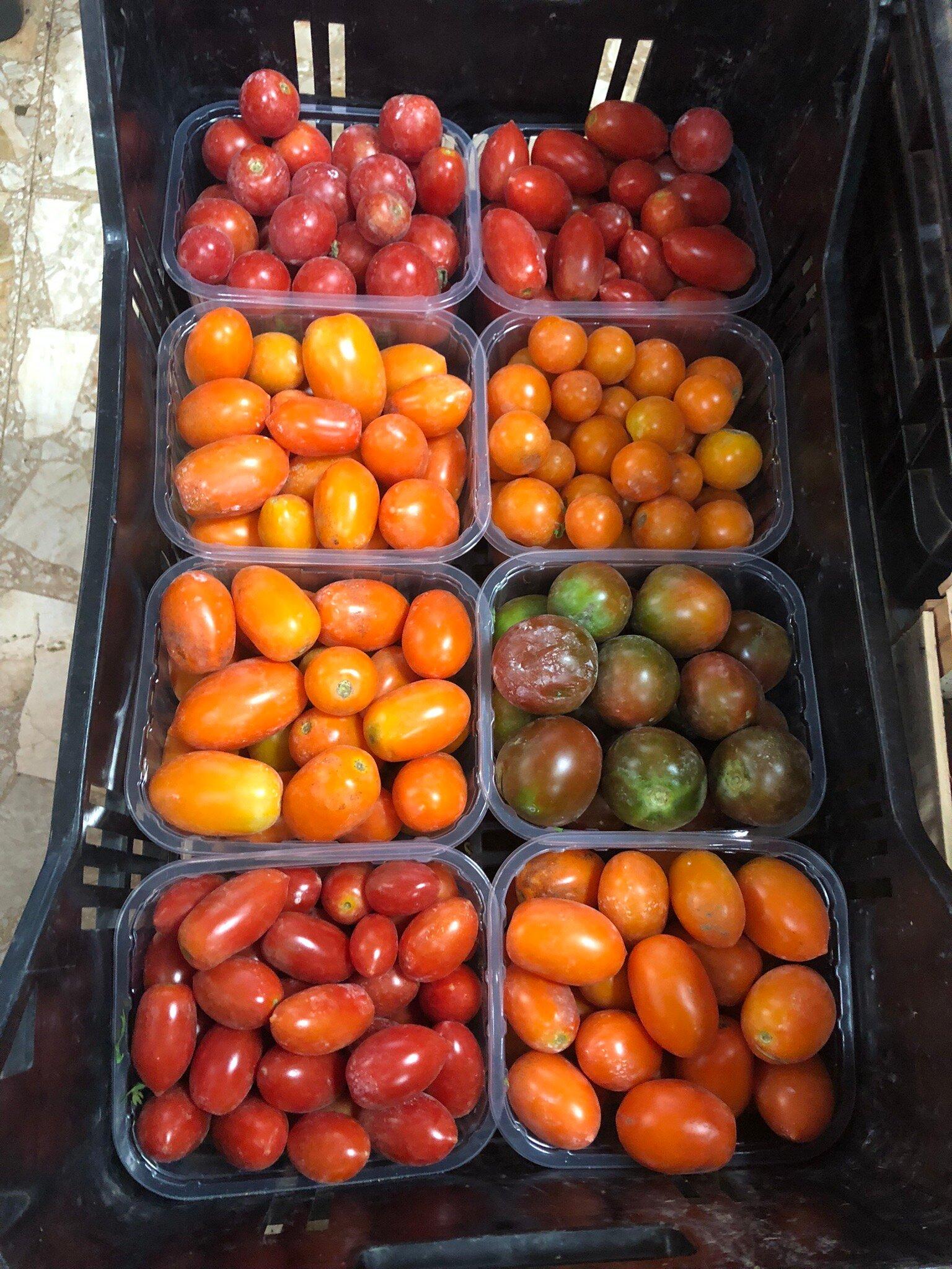 Photo by hirundo-rustego