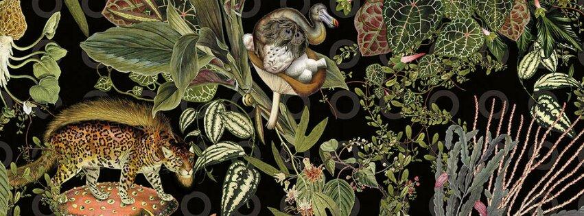 Kira Bistro & Lounge Bar