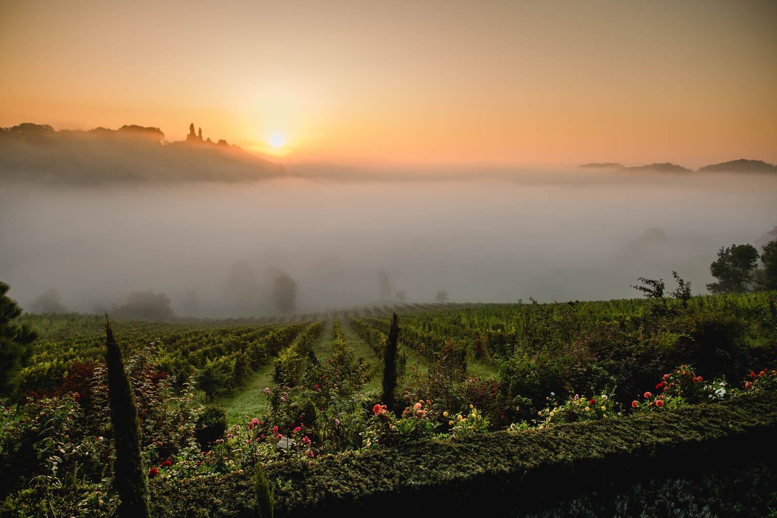 Polz Garten Südsteiermark