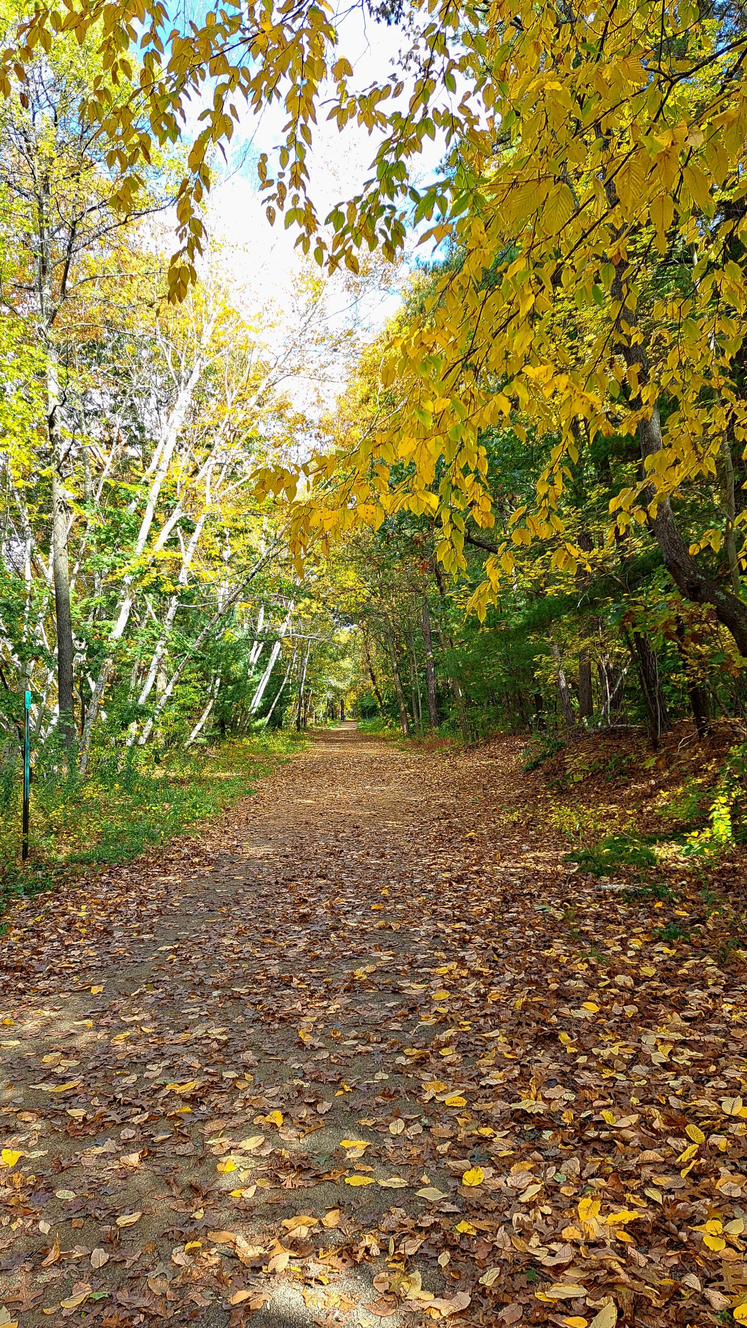 Photo by AdventureDiva