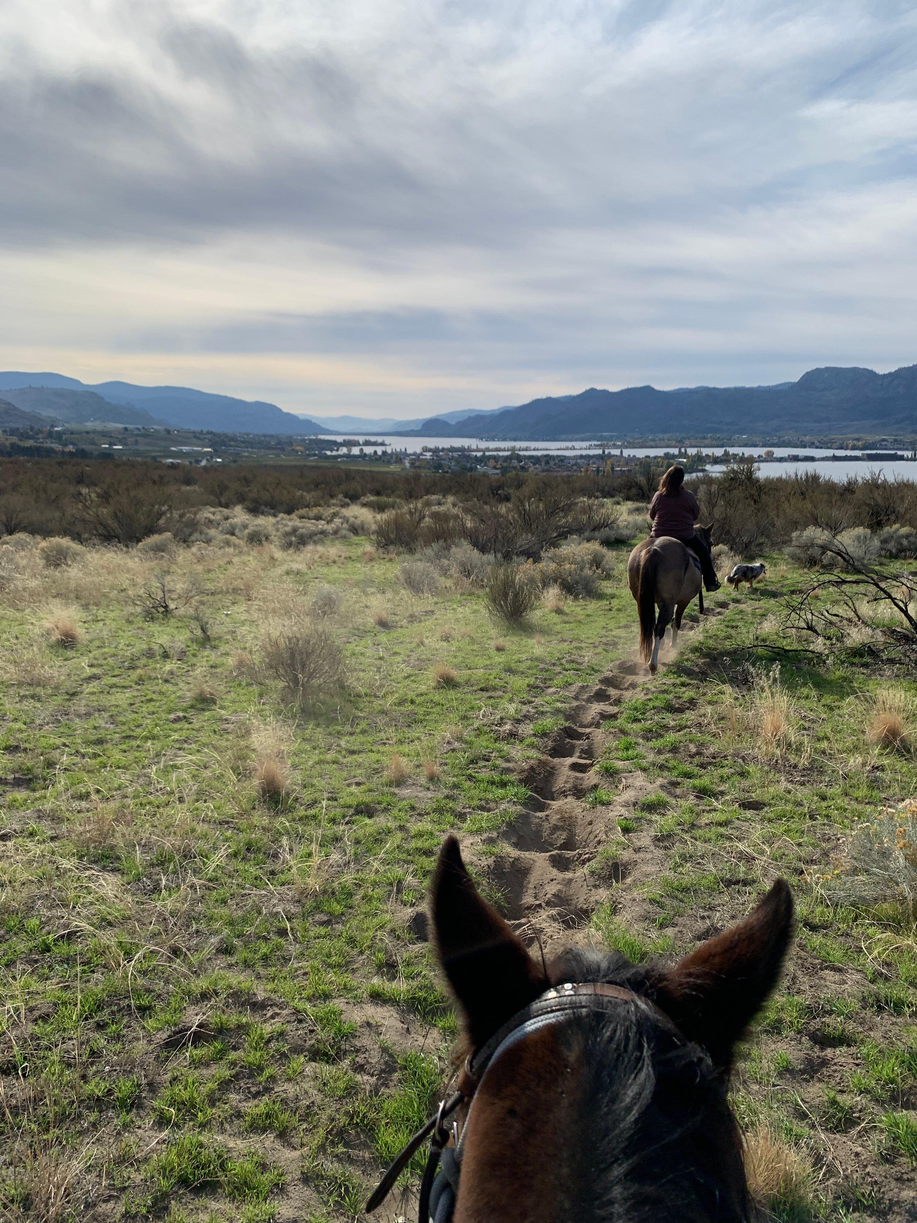 Indian Grove Riding Stables
