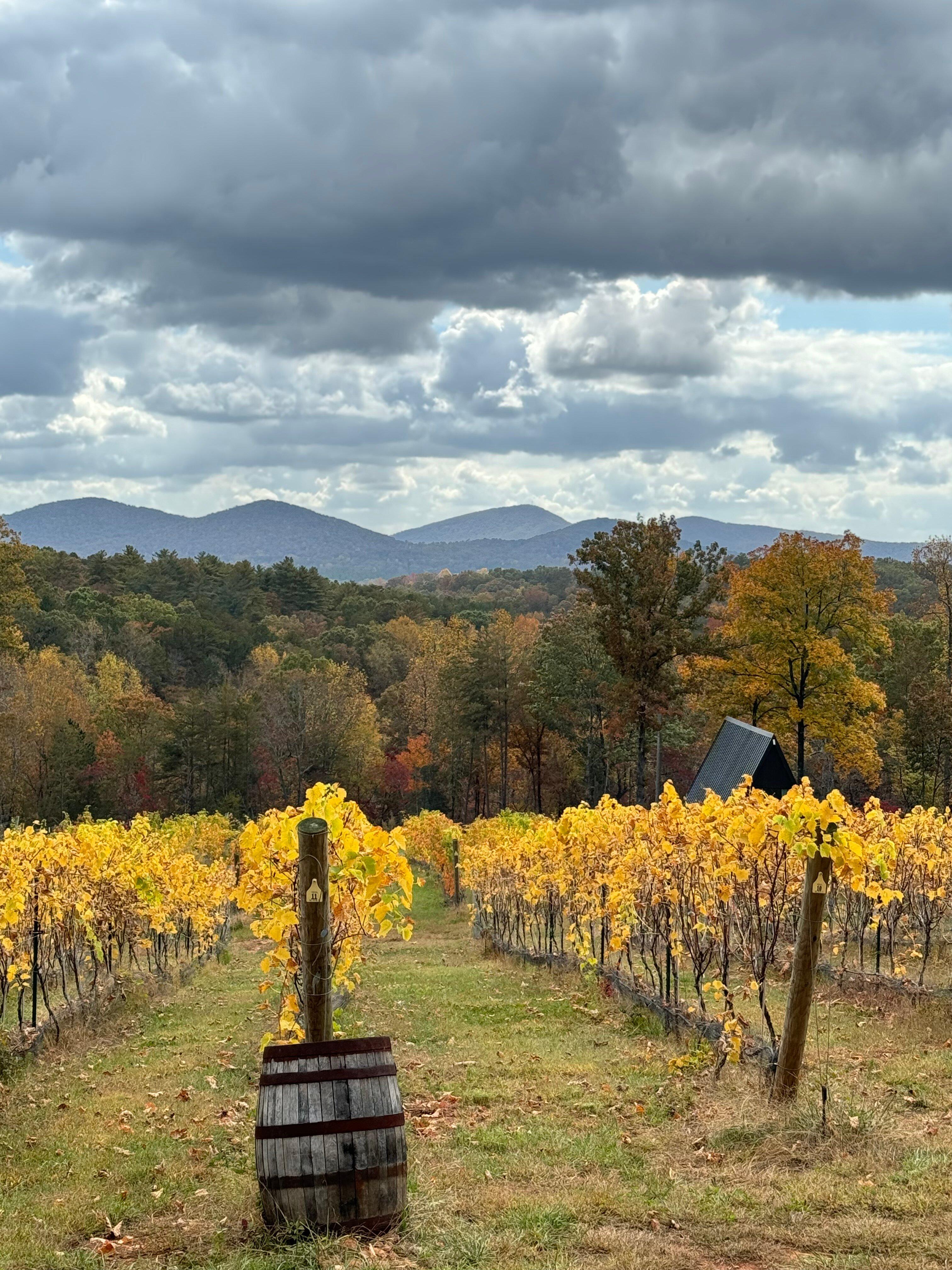 Photo by Wander03449908111