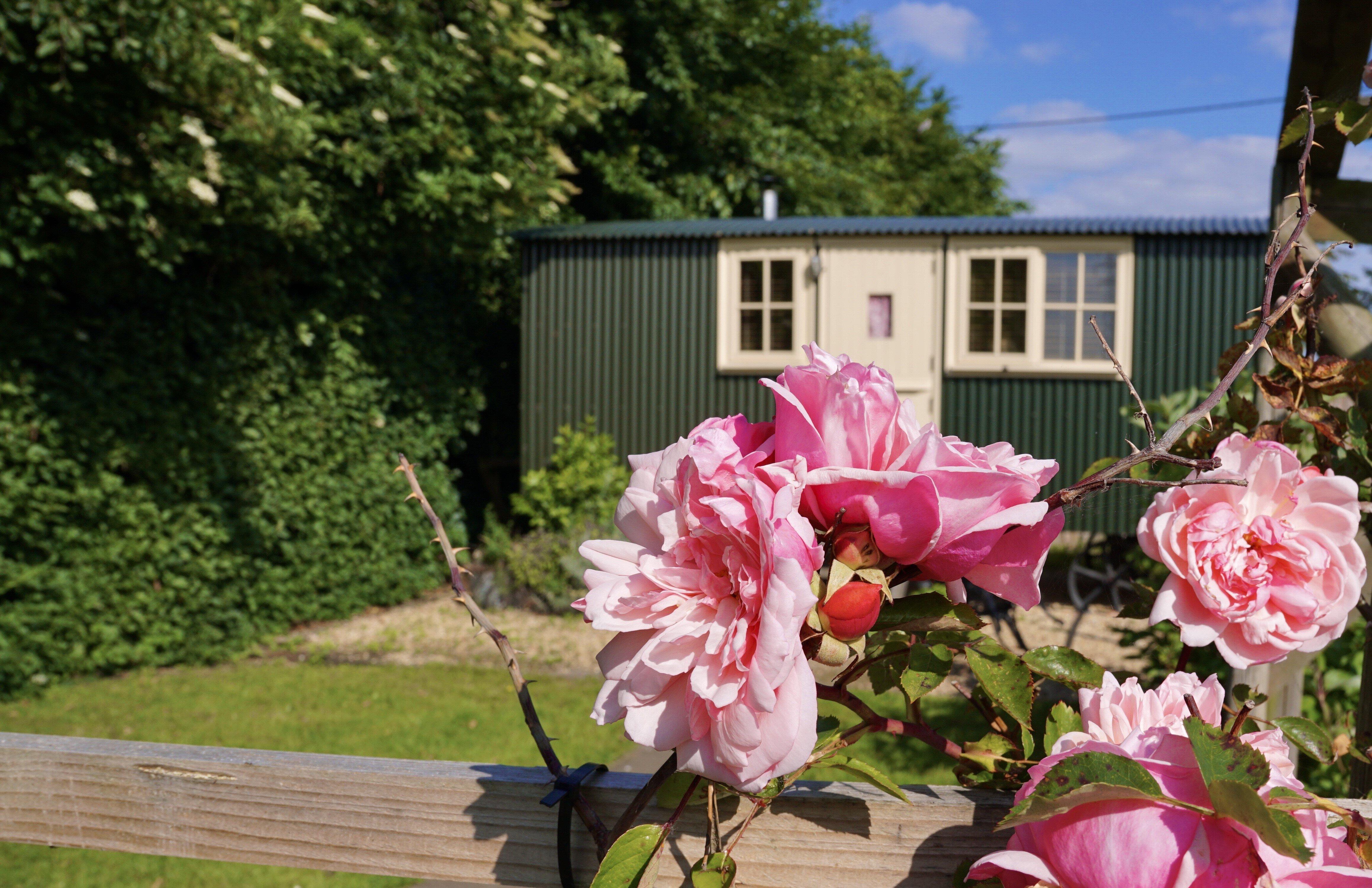 Fourwinds B&B & Campsite