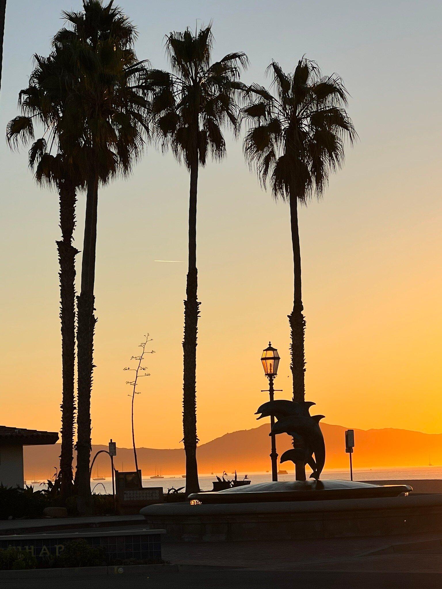 Jeannine's At The Shore