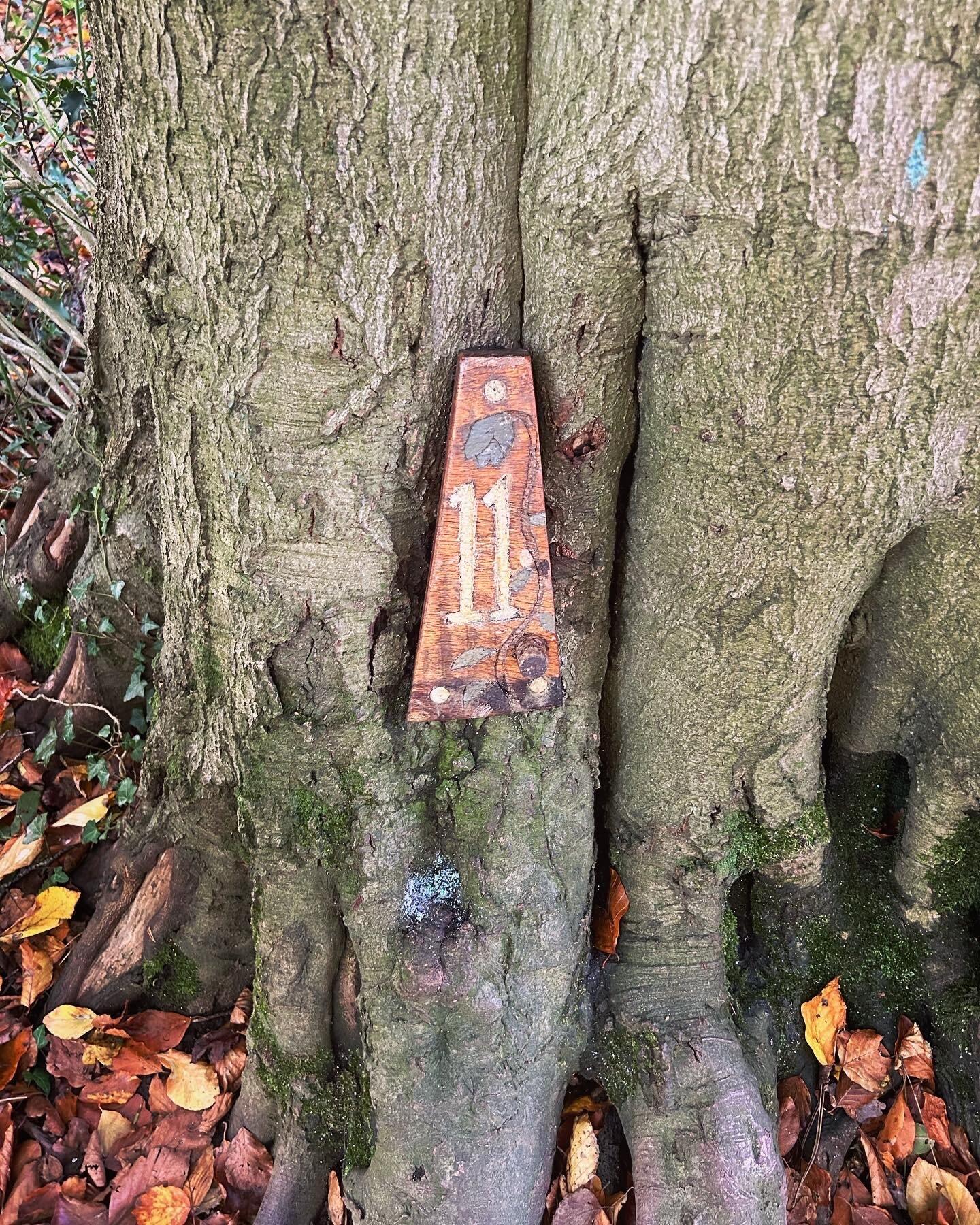 Woodland Play Area and Elf and Fairy Trail