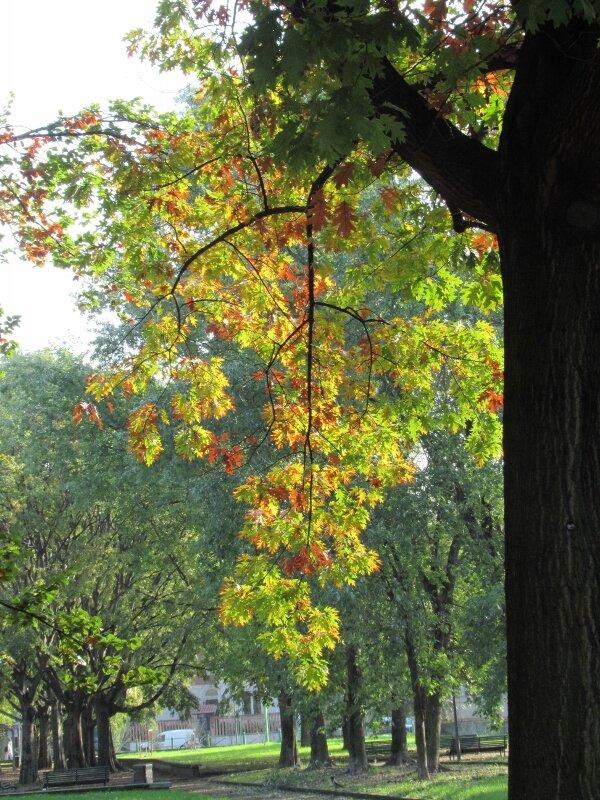 Parco Della Resistenza