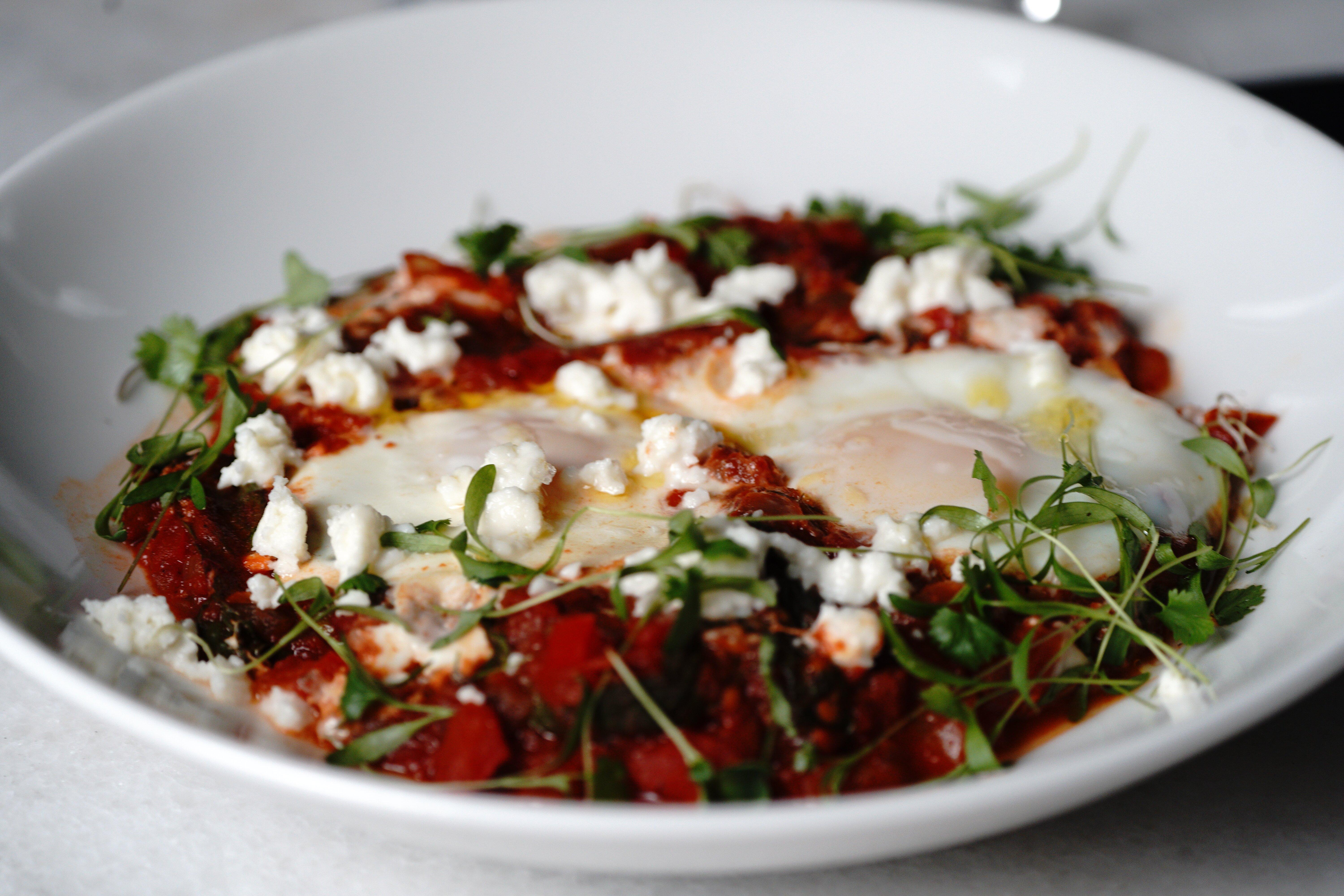 Cibo Modern Mediterranean