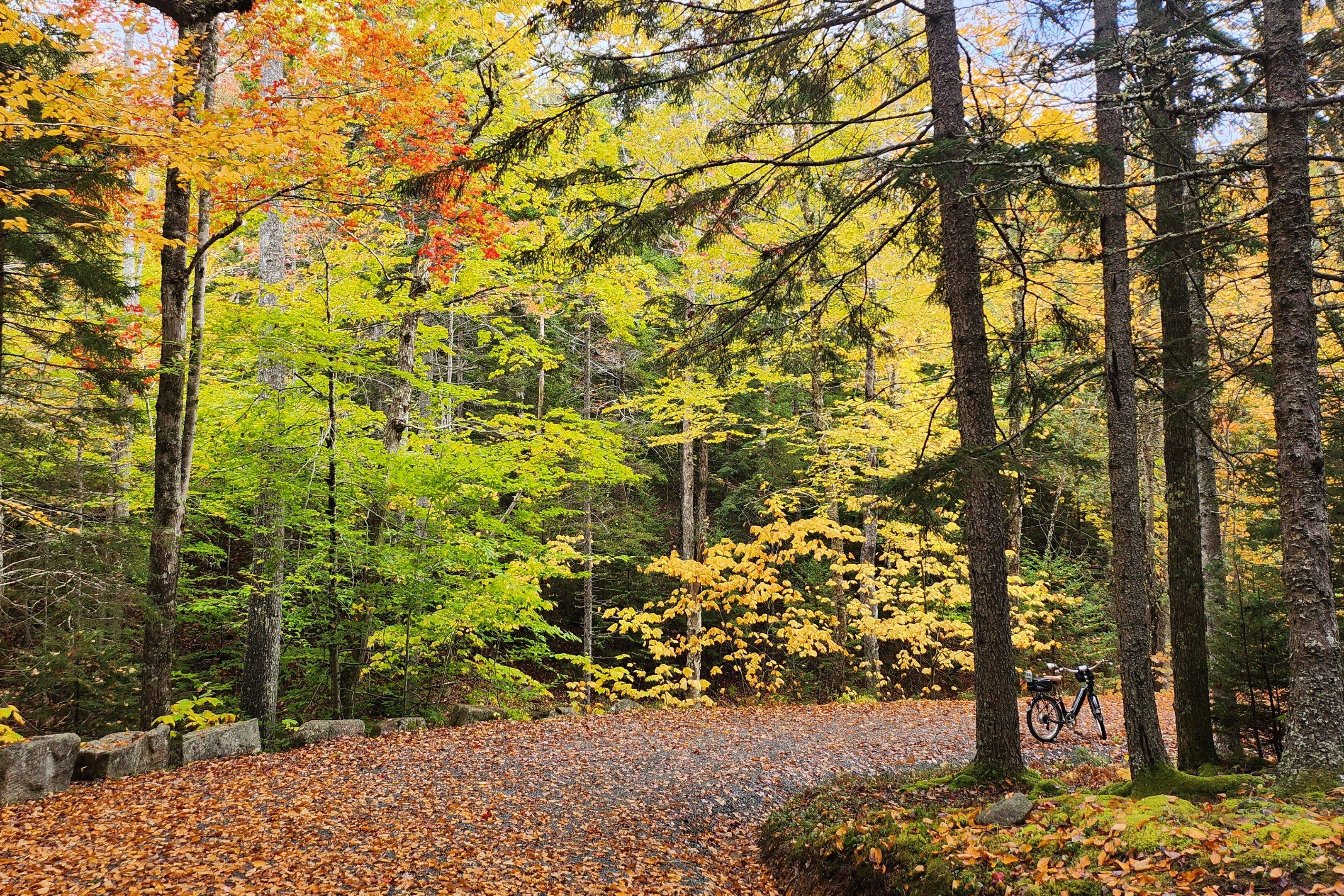 Acadia Ebike Adventure