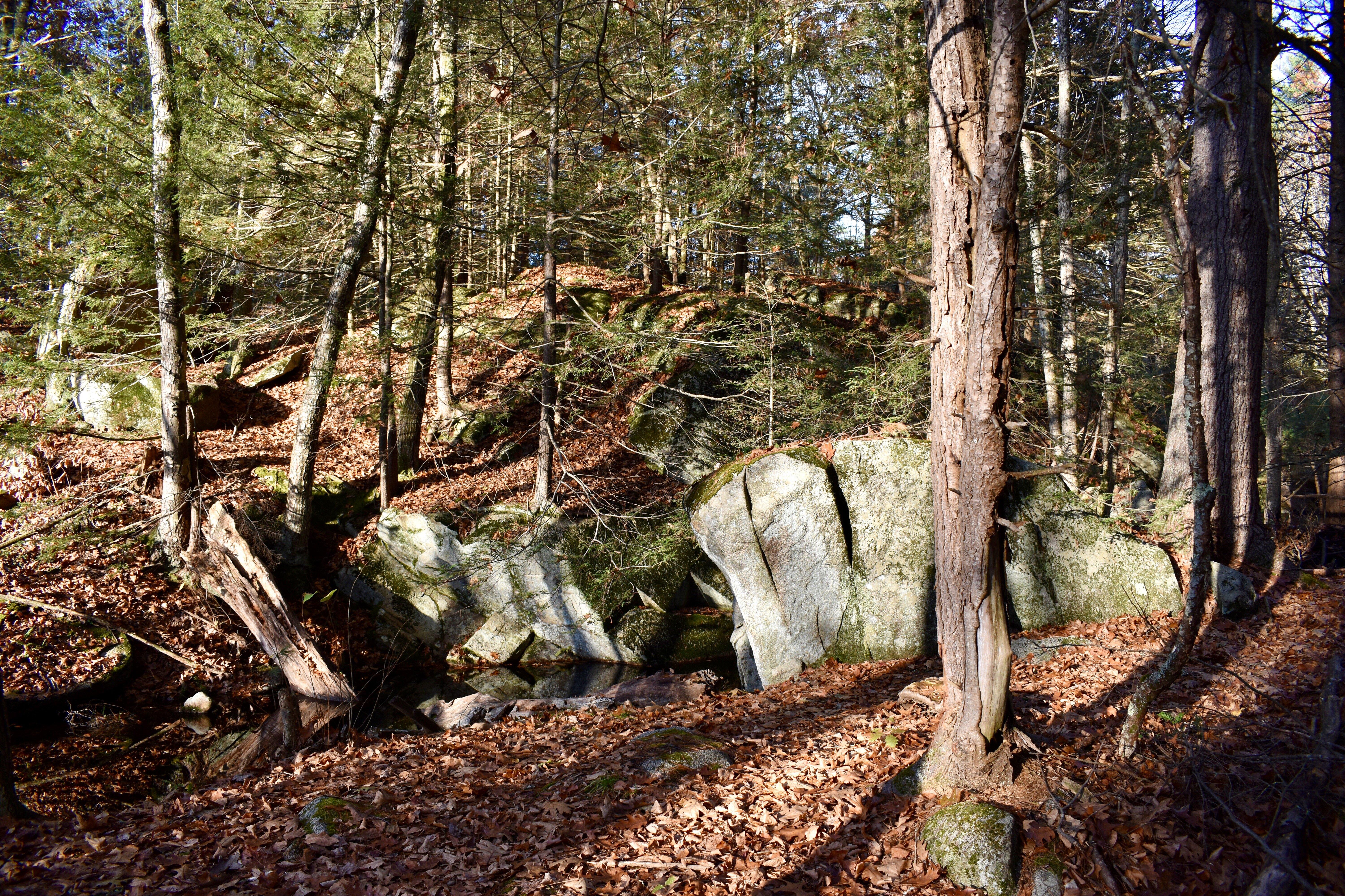 Photo by barbierikab