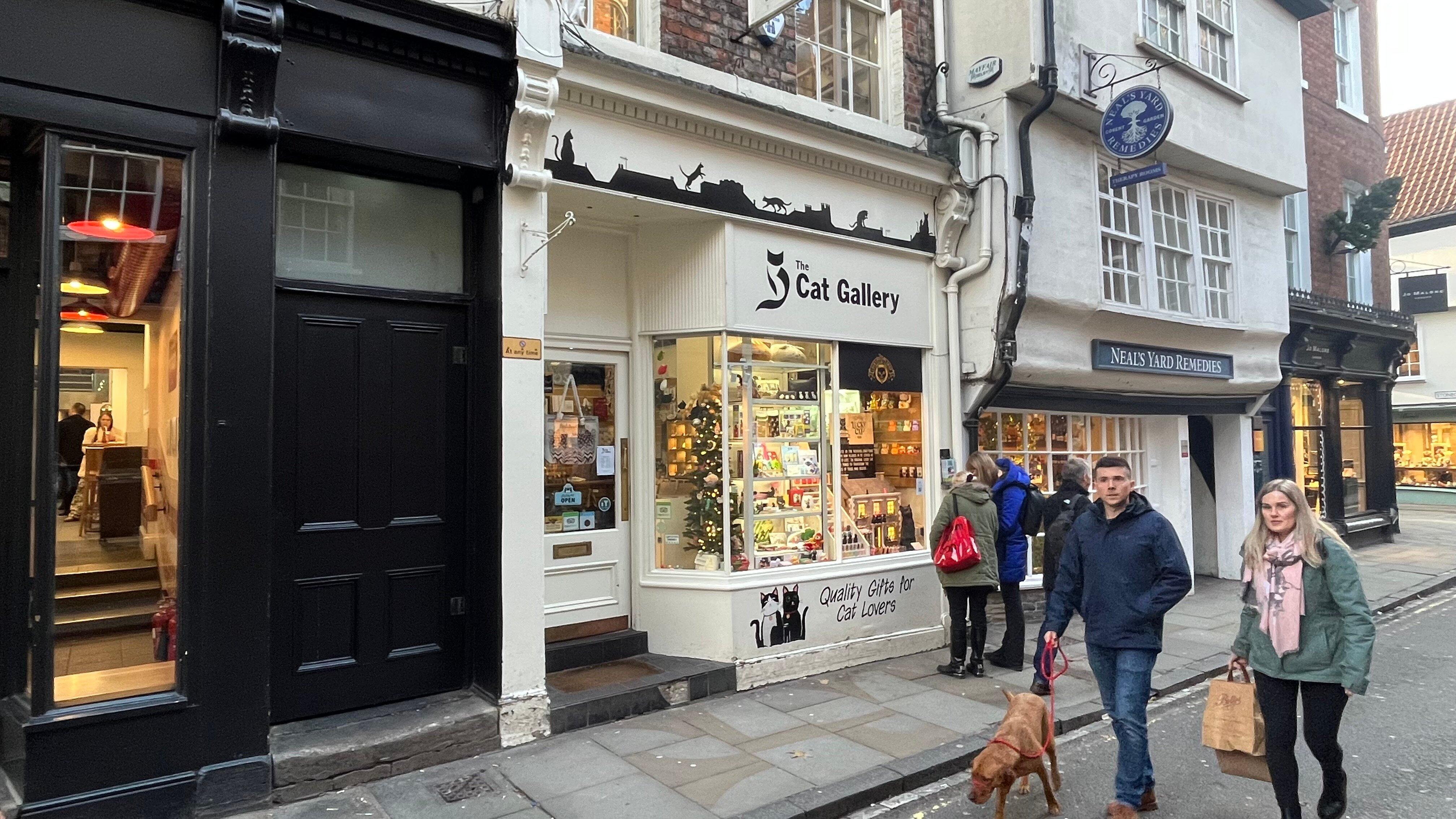 The Cat Gallery