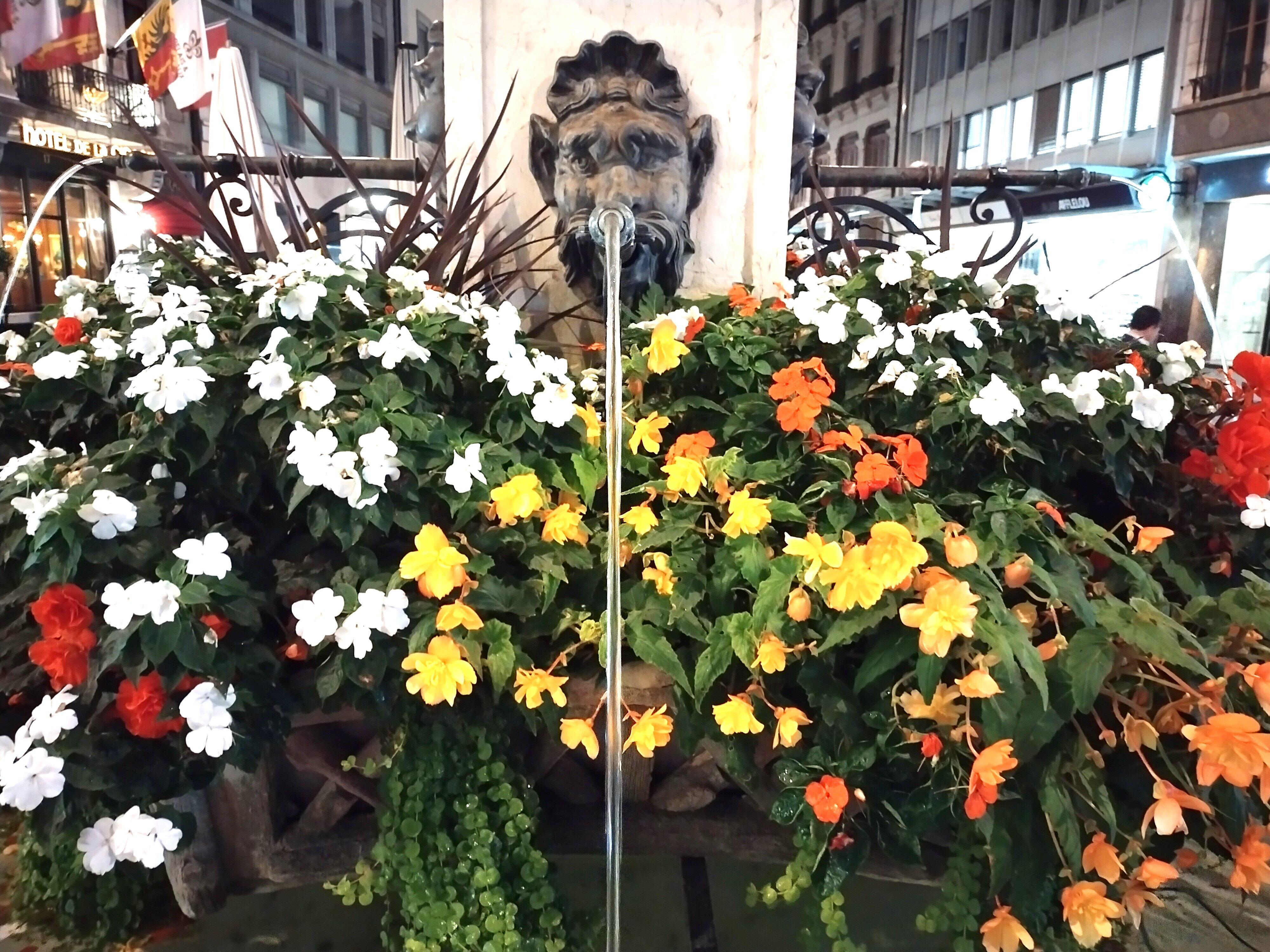 Fontaine De Longemalle