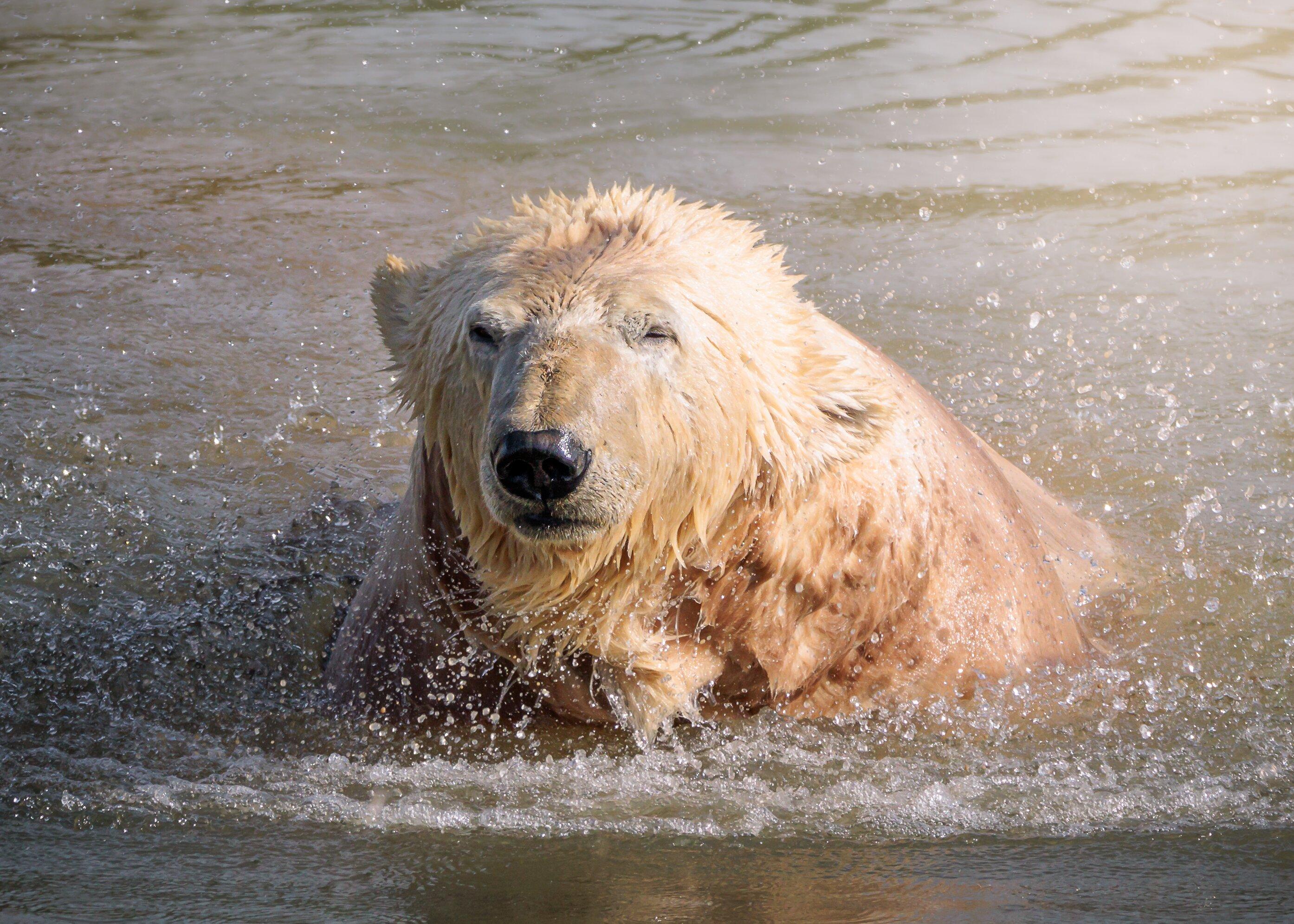 Jimmy's Farm Restaurant