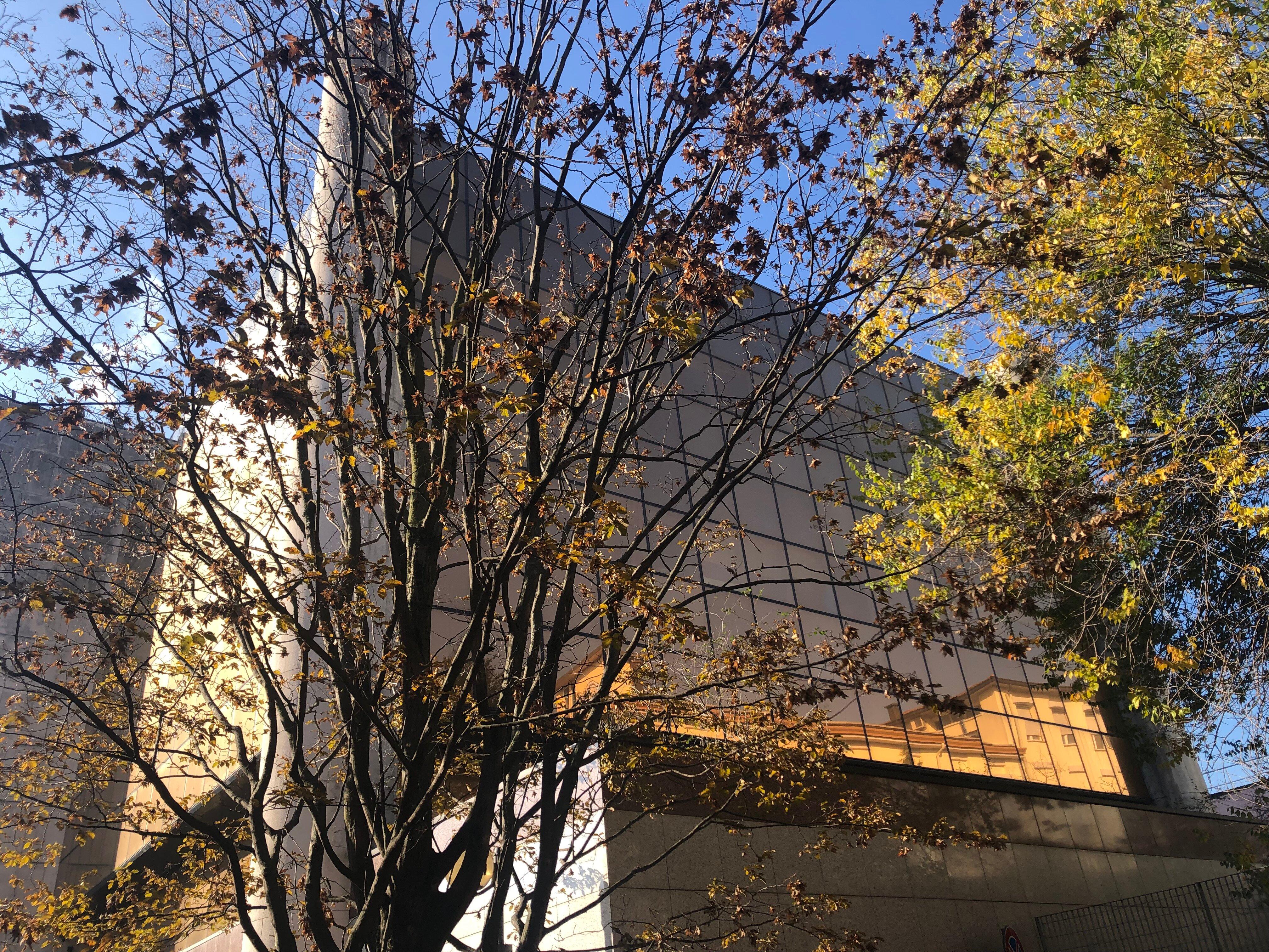 Palazzo della Regione di Pordenone