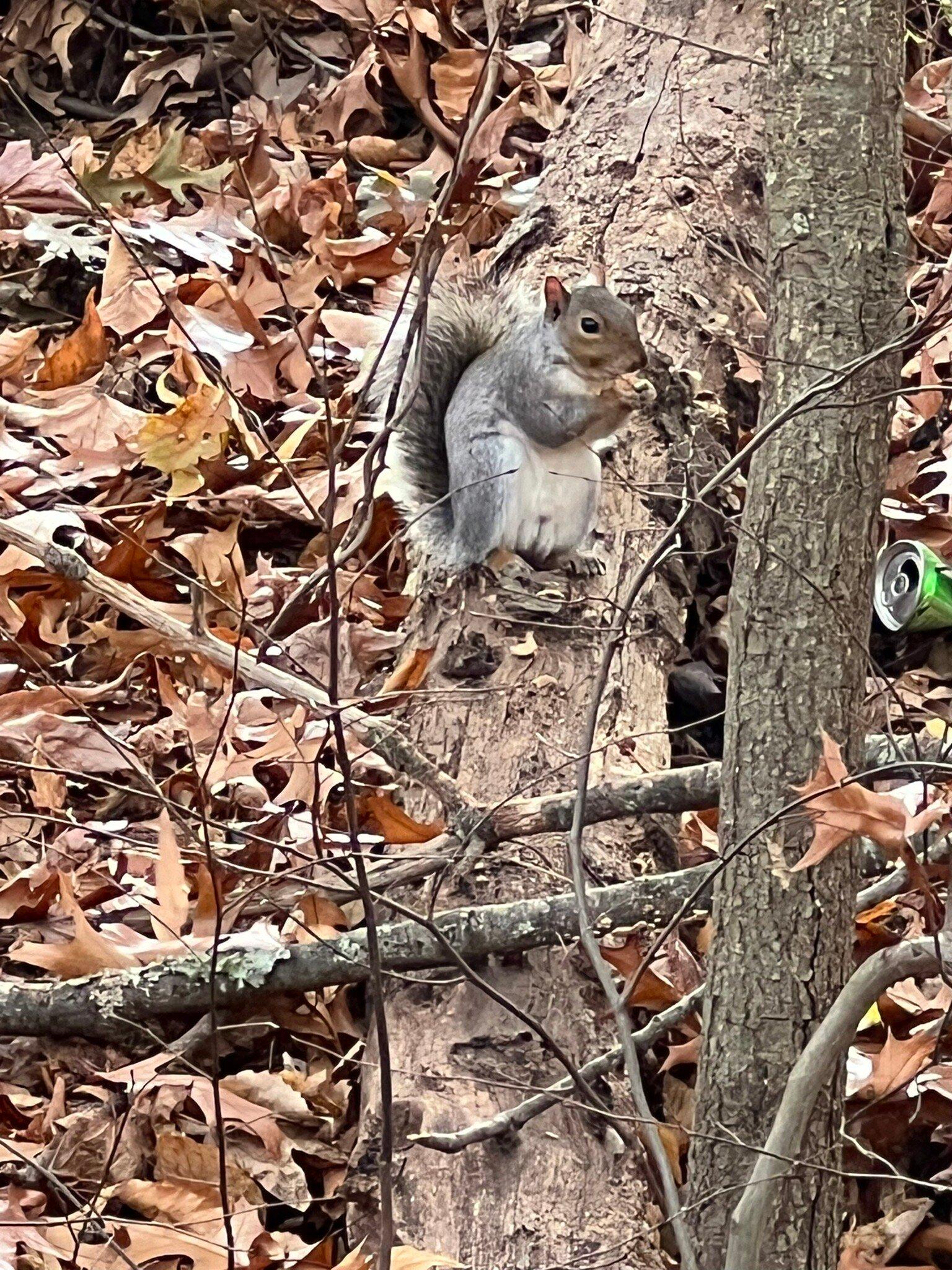 Photo by markhT5589UW