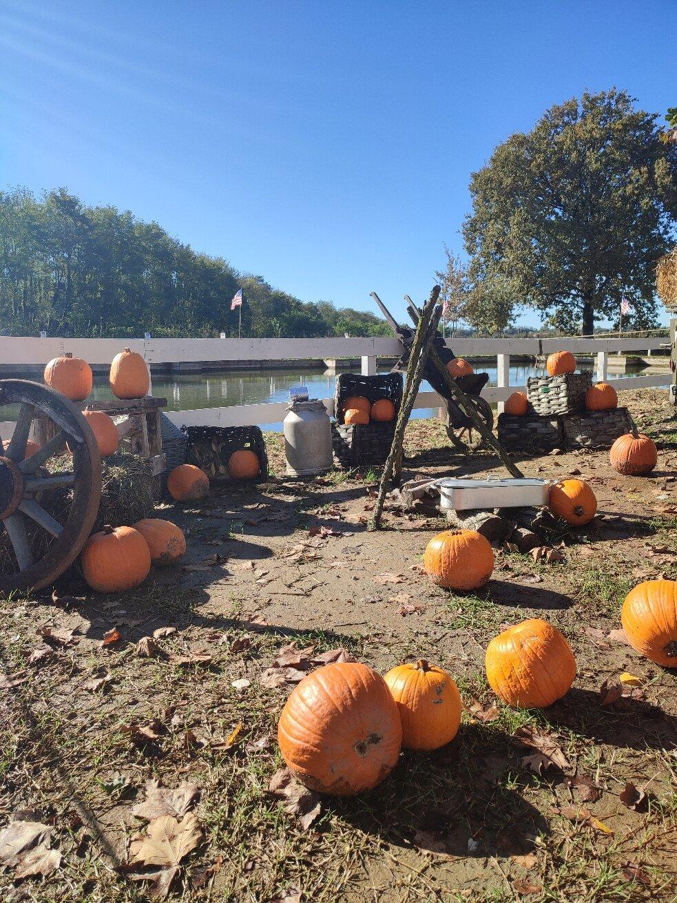 Il Villaggio Delle Zucche