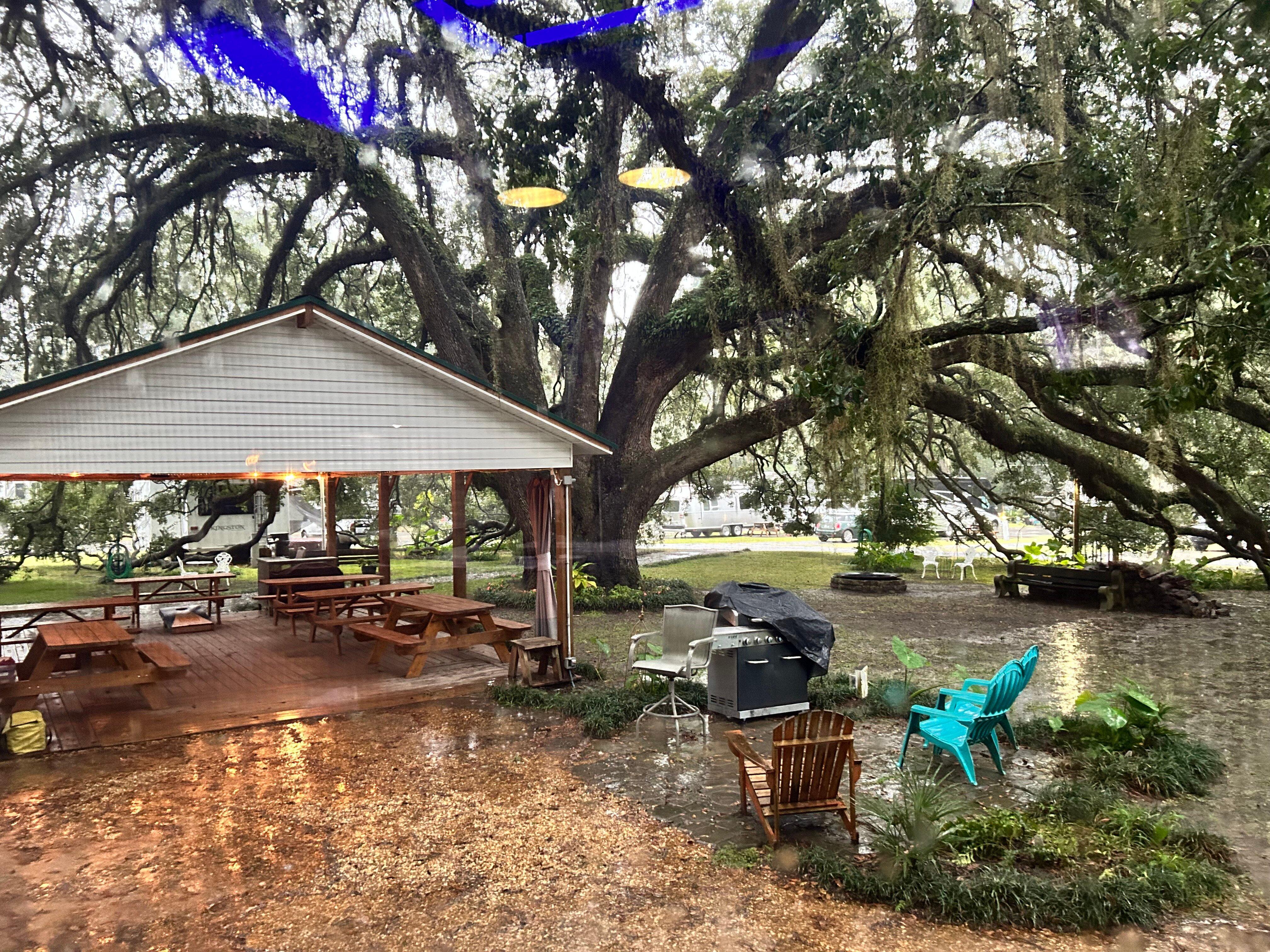 Photo by Alicia Suzie S