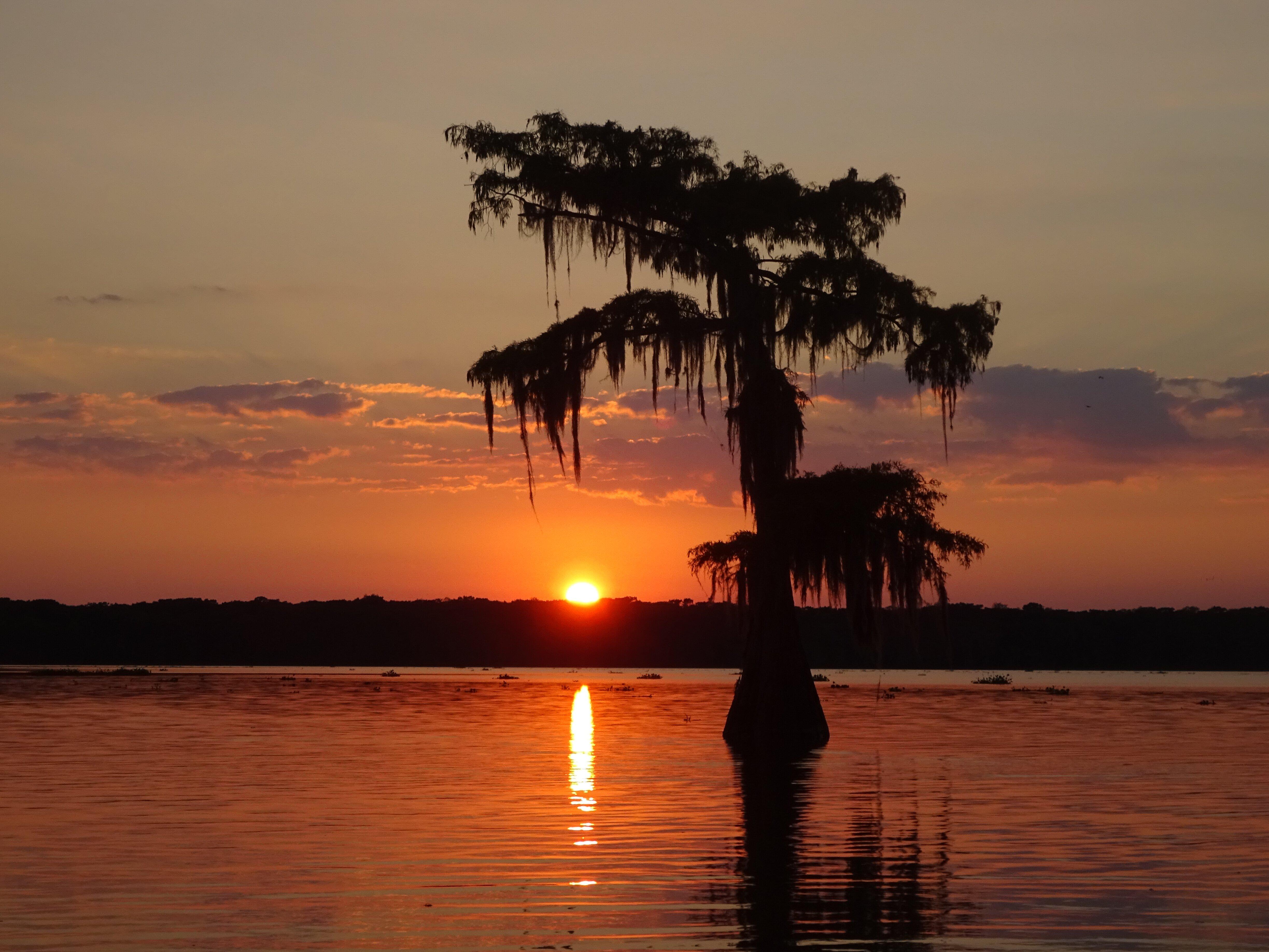 Captain Caviar Swamp Tours