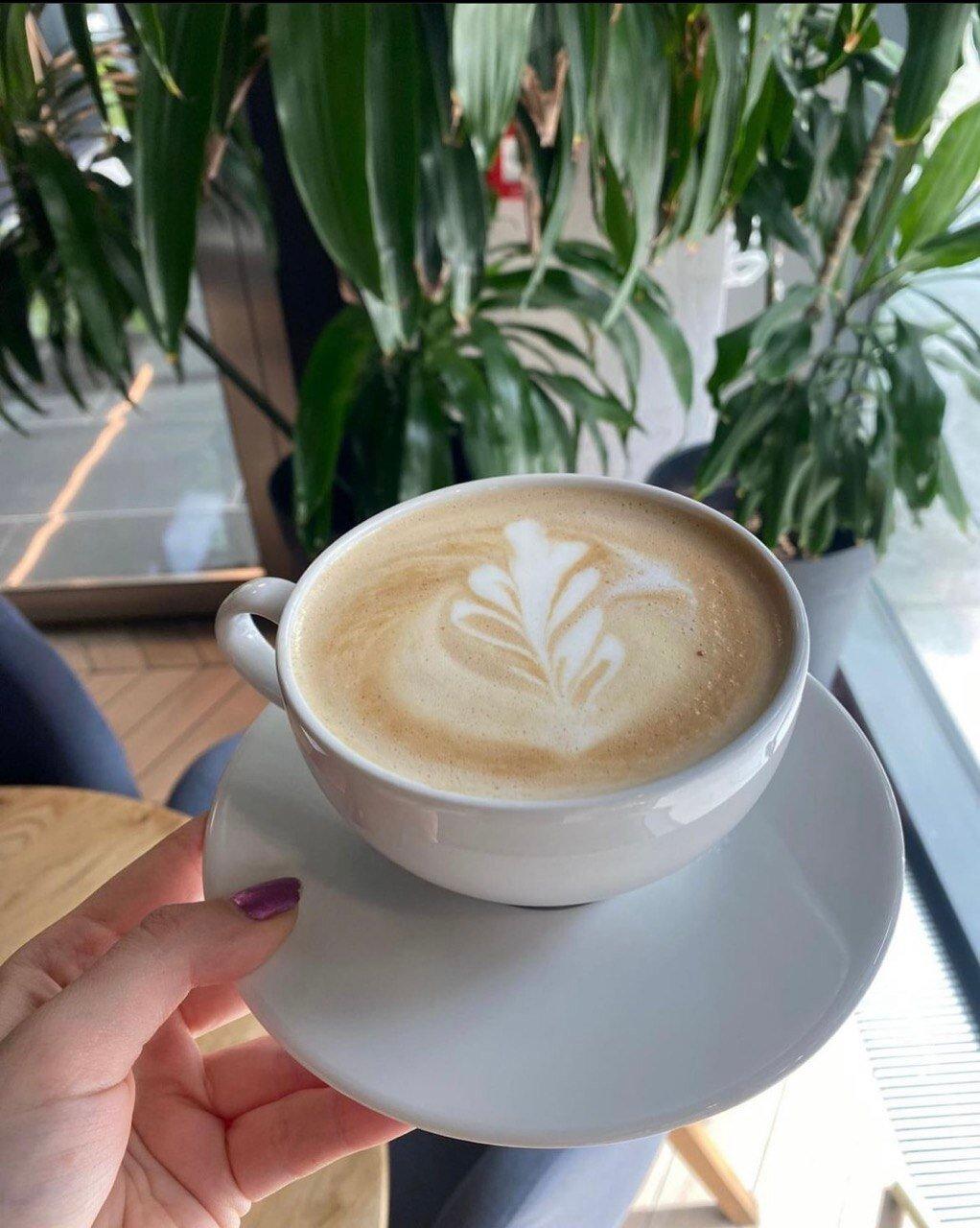 Favorite Horse Showroom & Coffee Point