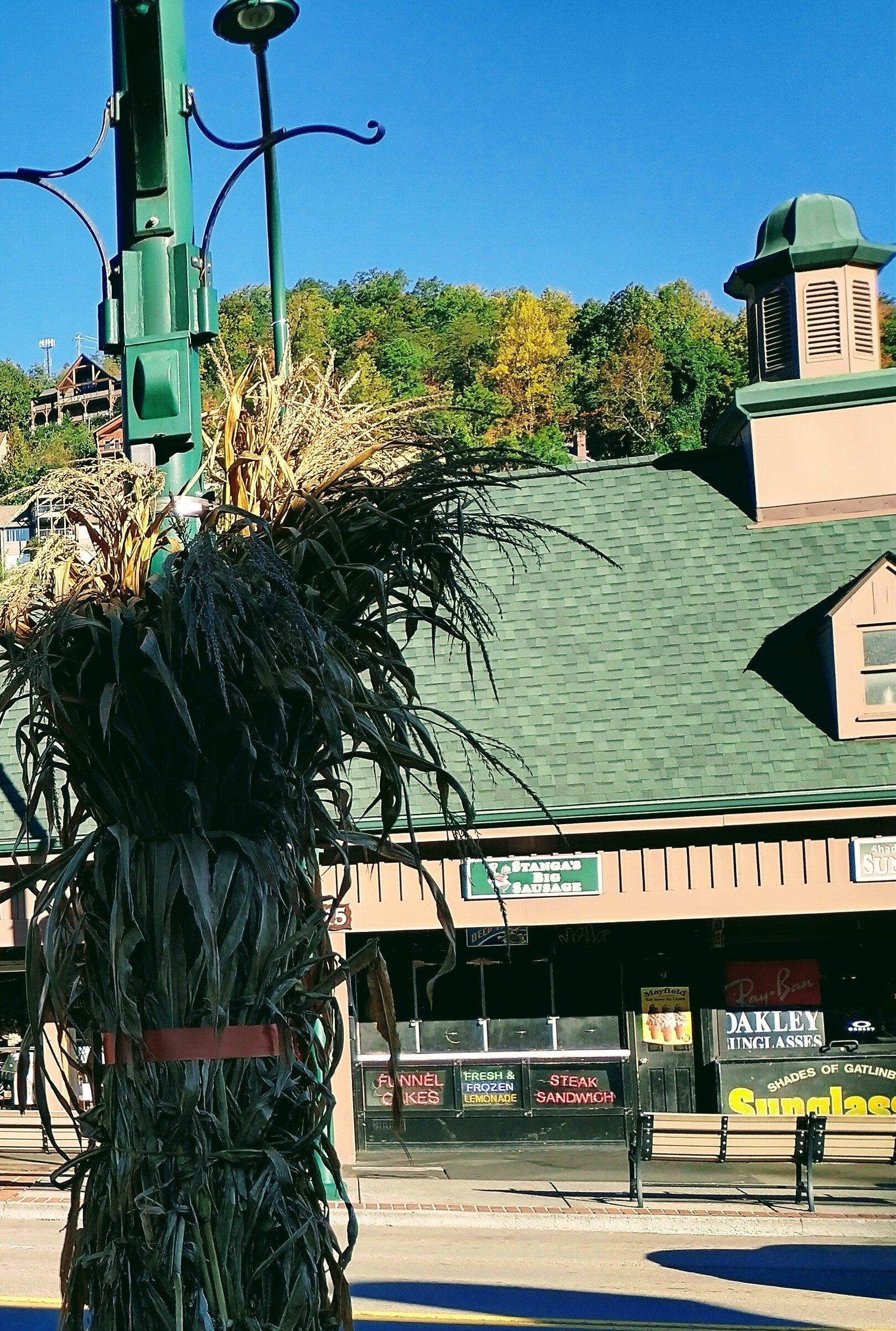 Photo by KeepLifeSimpleUSA