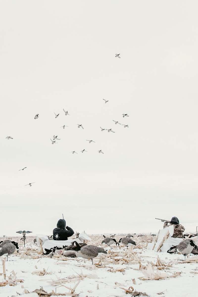 Northern Winds Outfitting