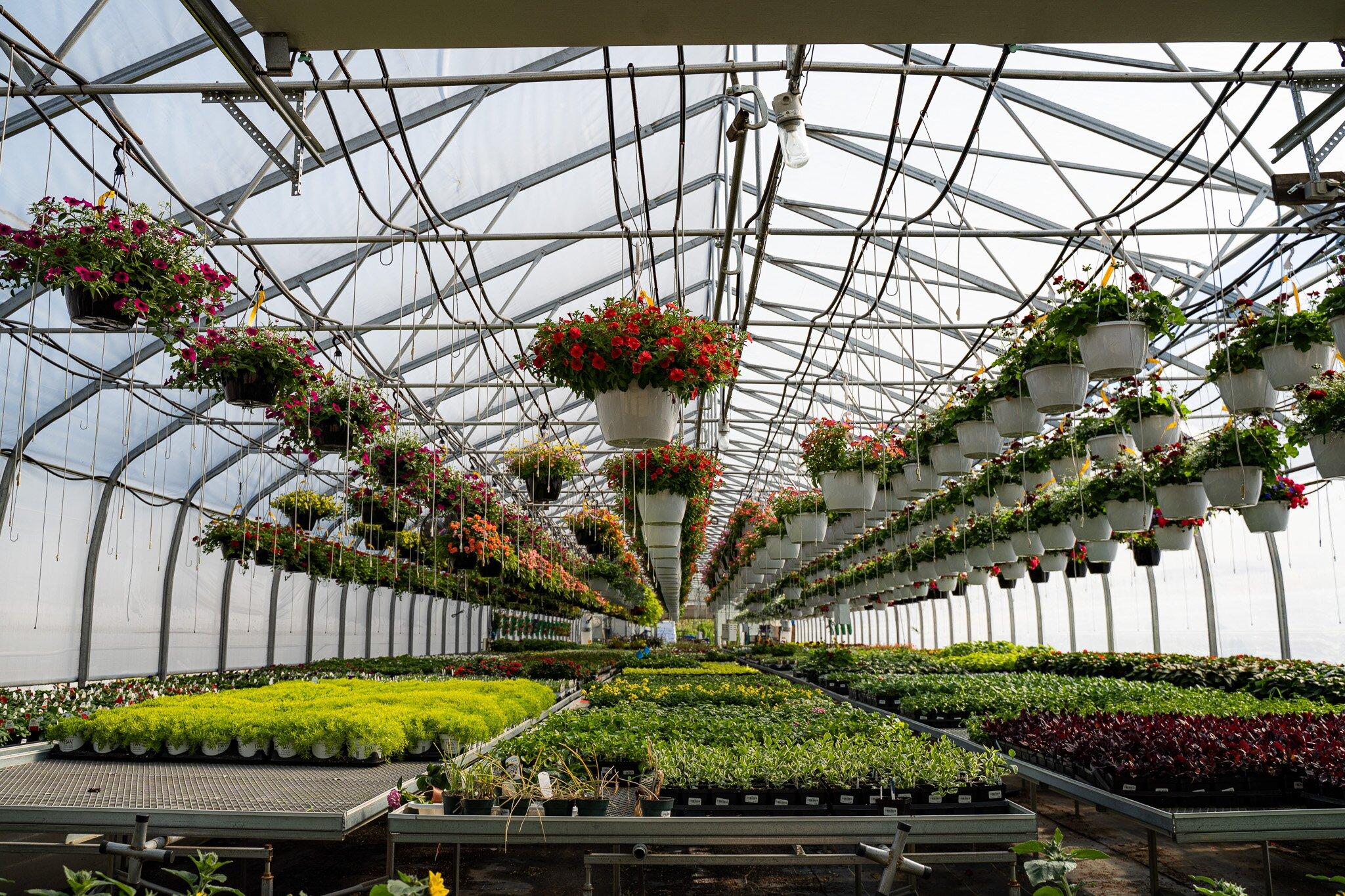 Pépinière Villeneuve