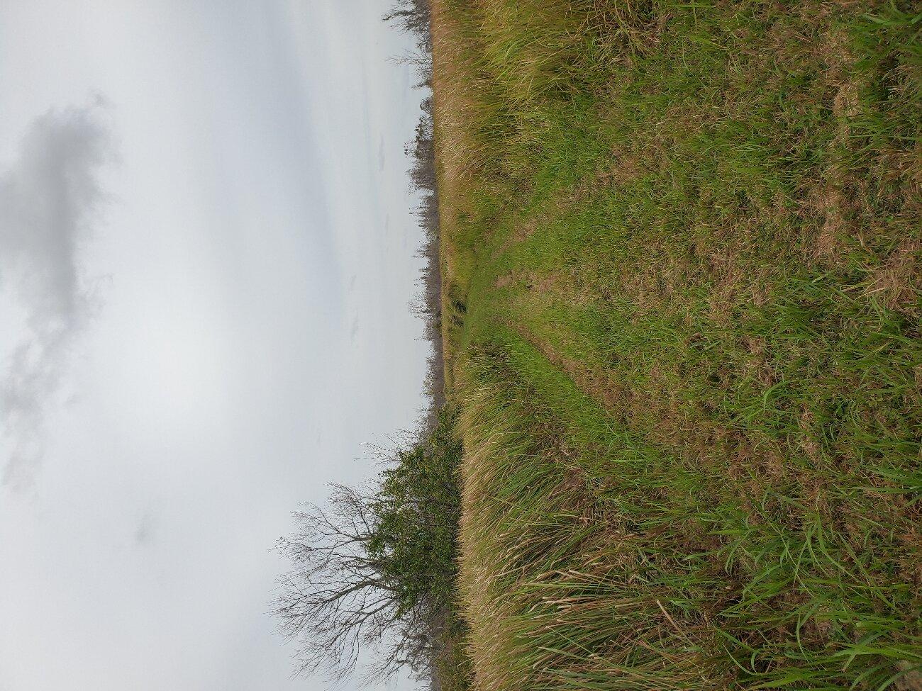 Mosaic Peace River Park