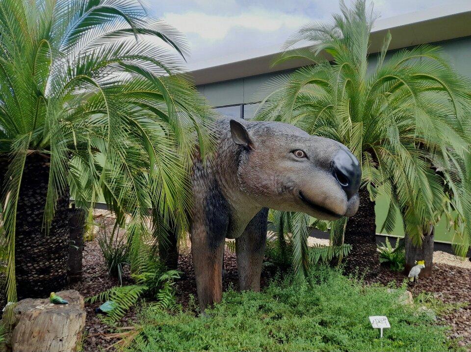 55 Million Years Ago