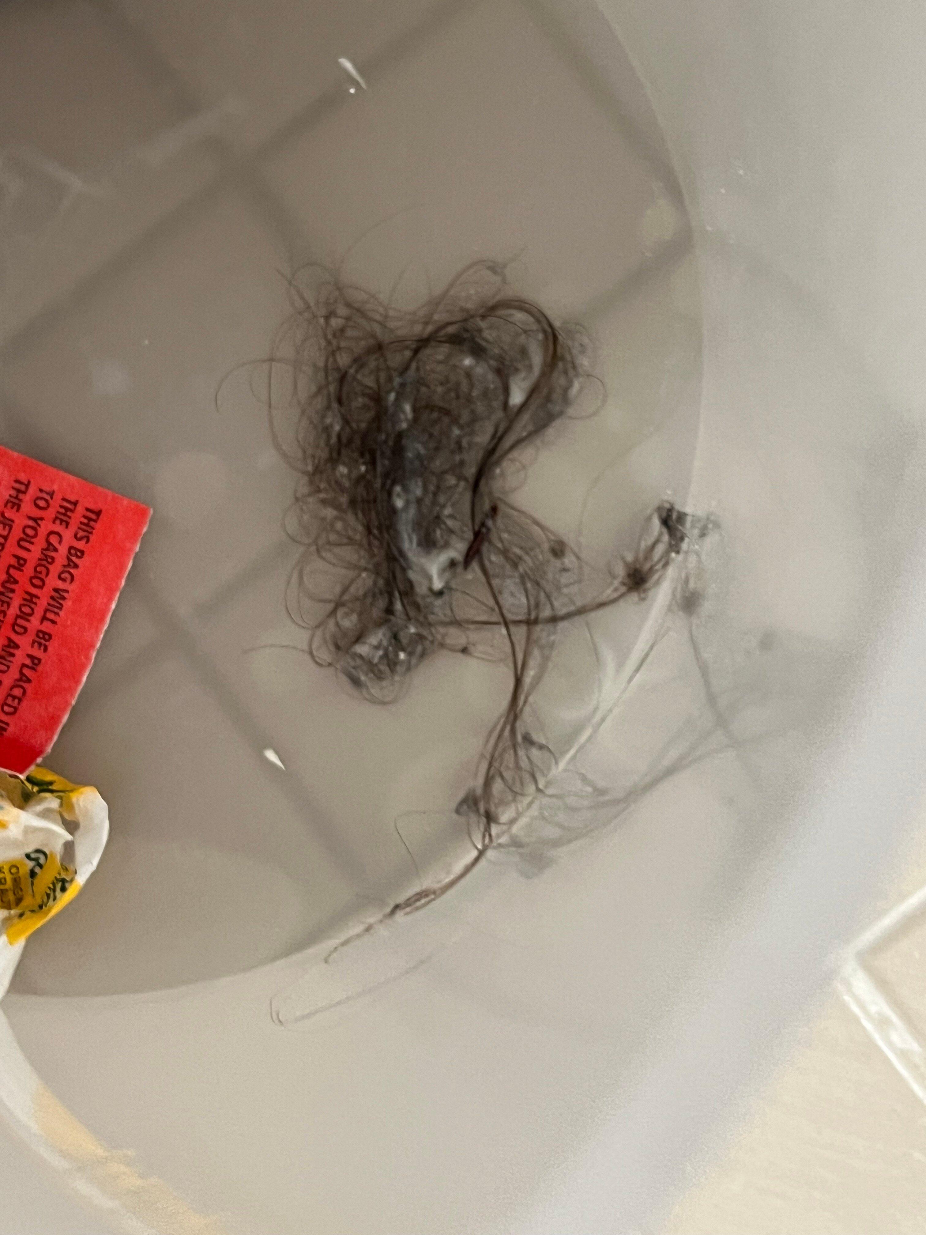 Photo by Sclayton423