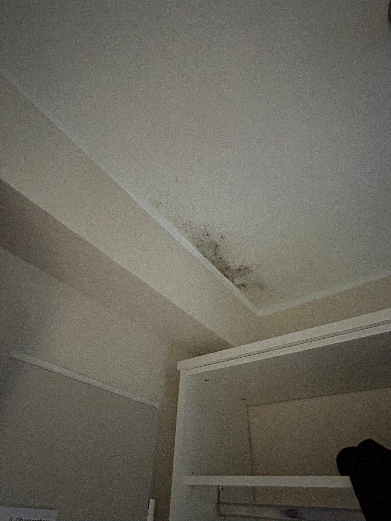 Bestprice Hotel Bendorf Koblenz