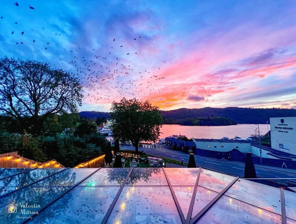 Lake View Garden Bar