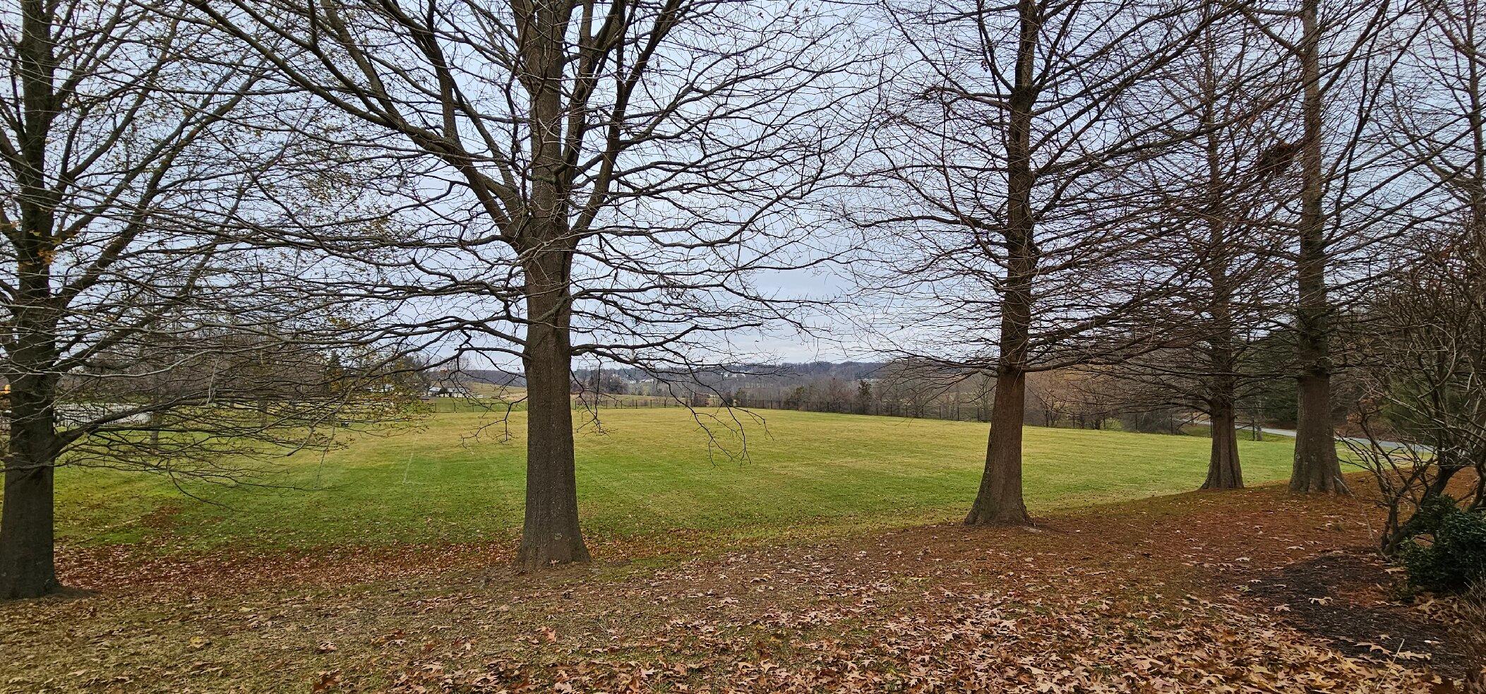 Photo by 703BillB703