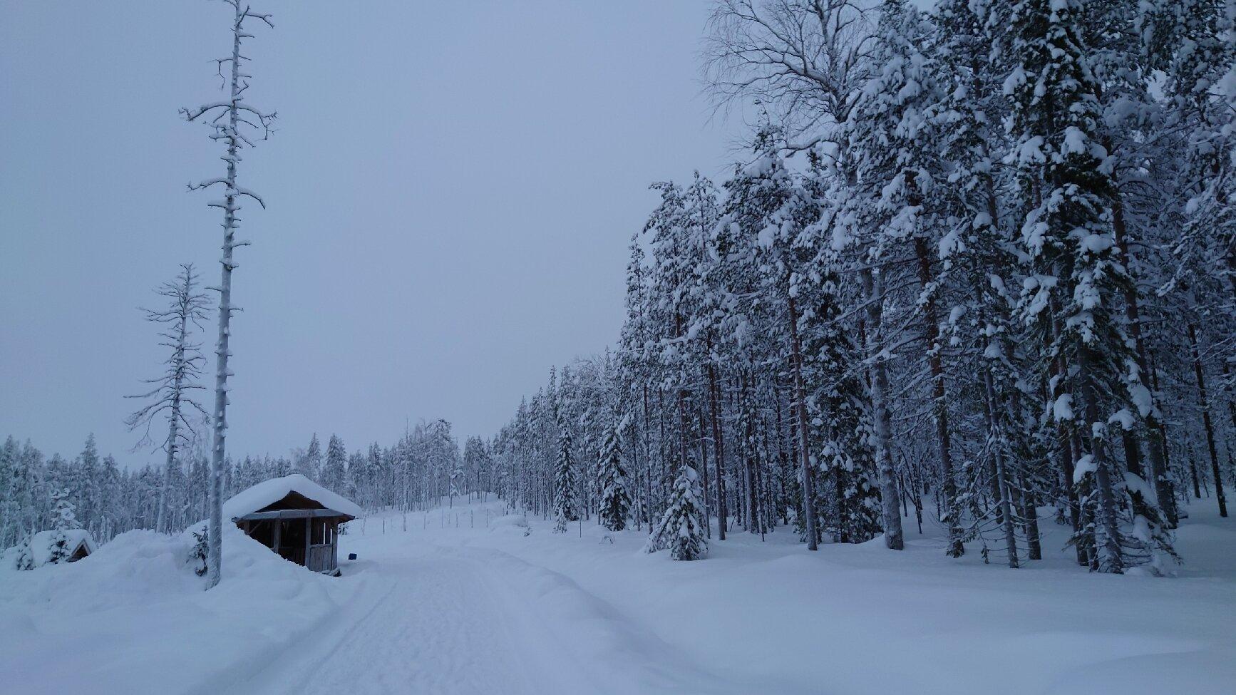 Kotatieva Winter Leisure Park