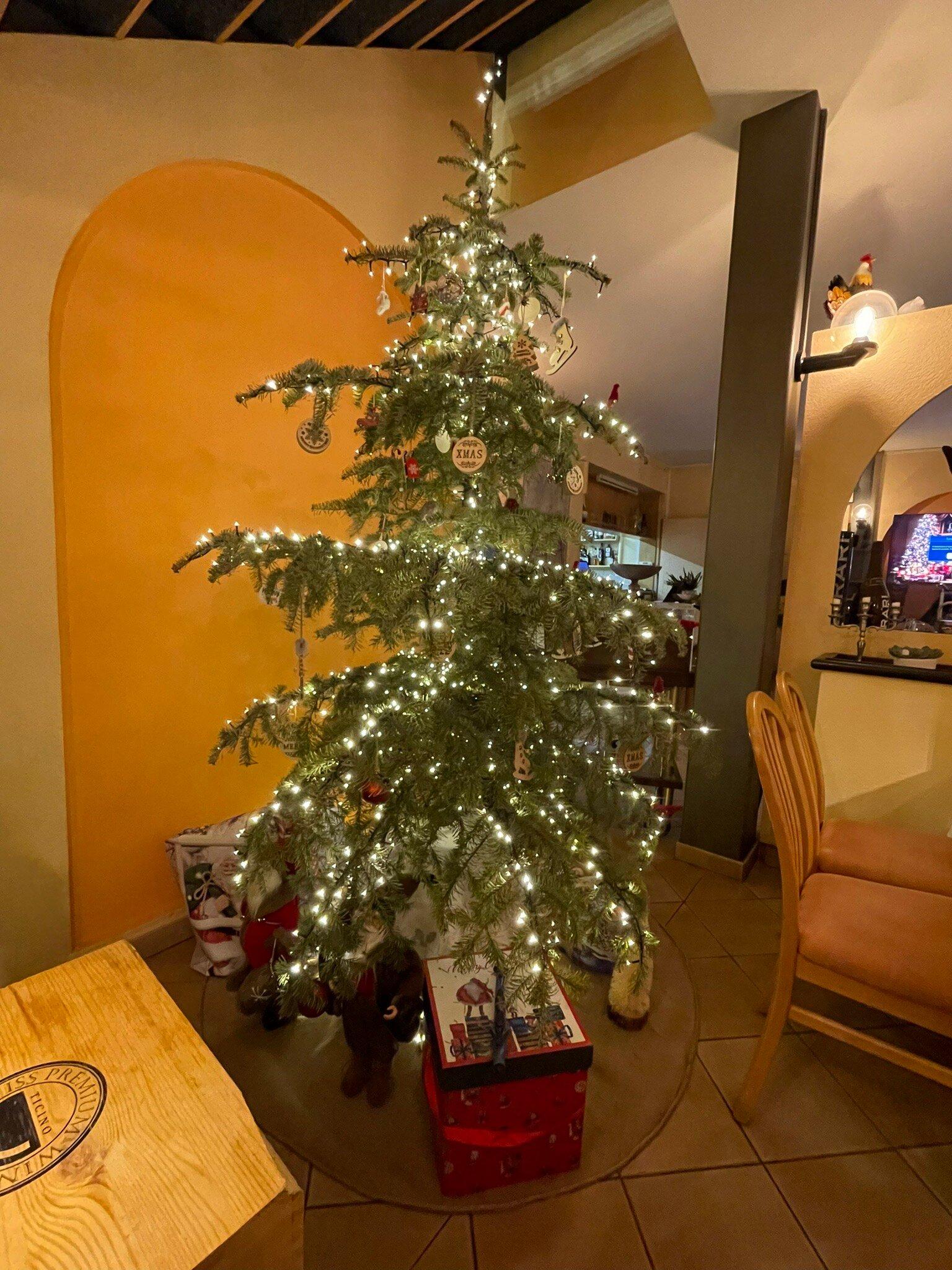 Photo by thomashF8488LZ