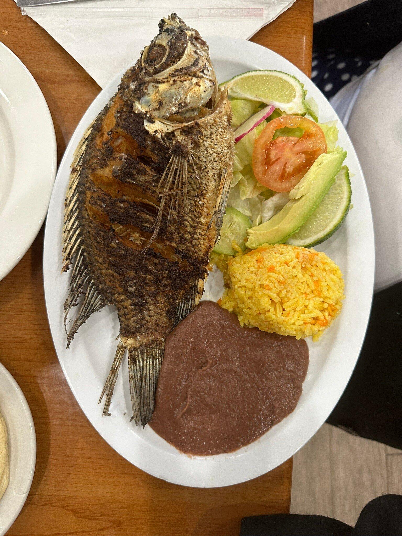 Photo by javisan2020