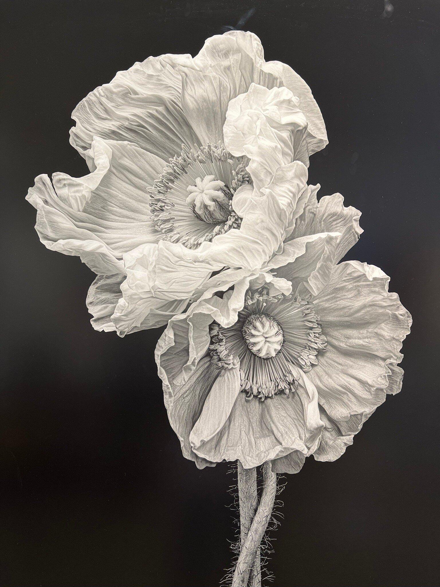 State of the Arts Gallery