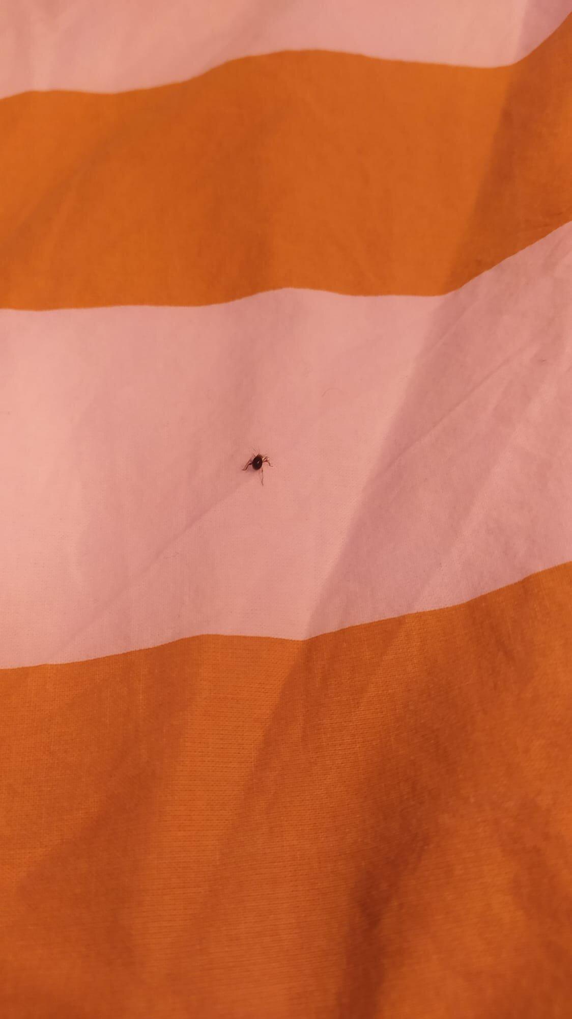 La French Casa Noailles