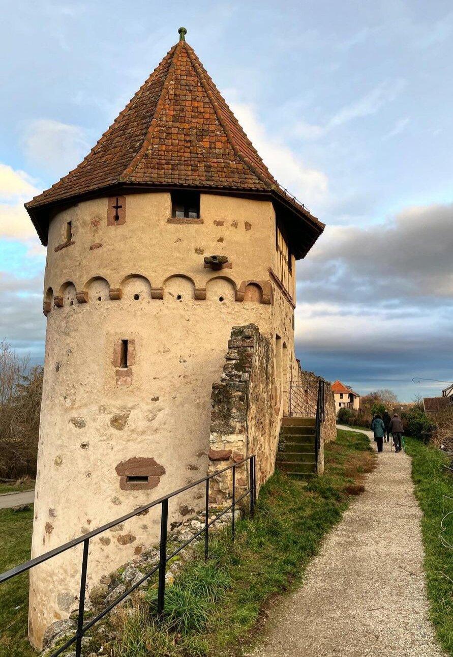 Wochenmärkte Bergheim