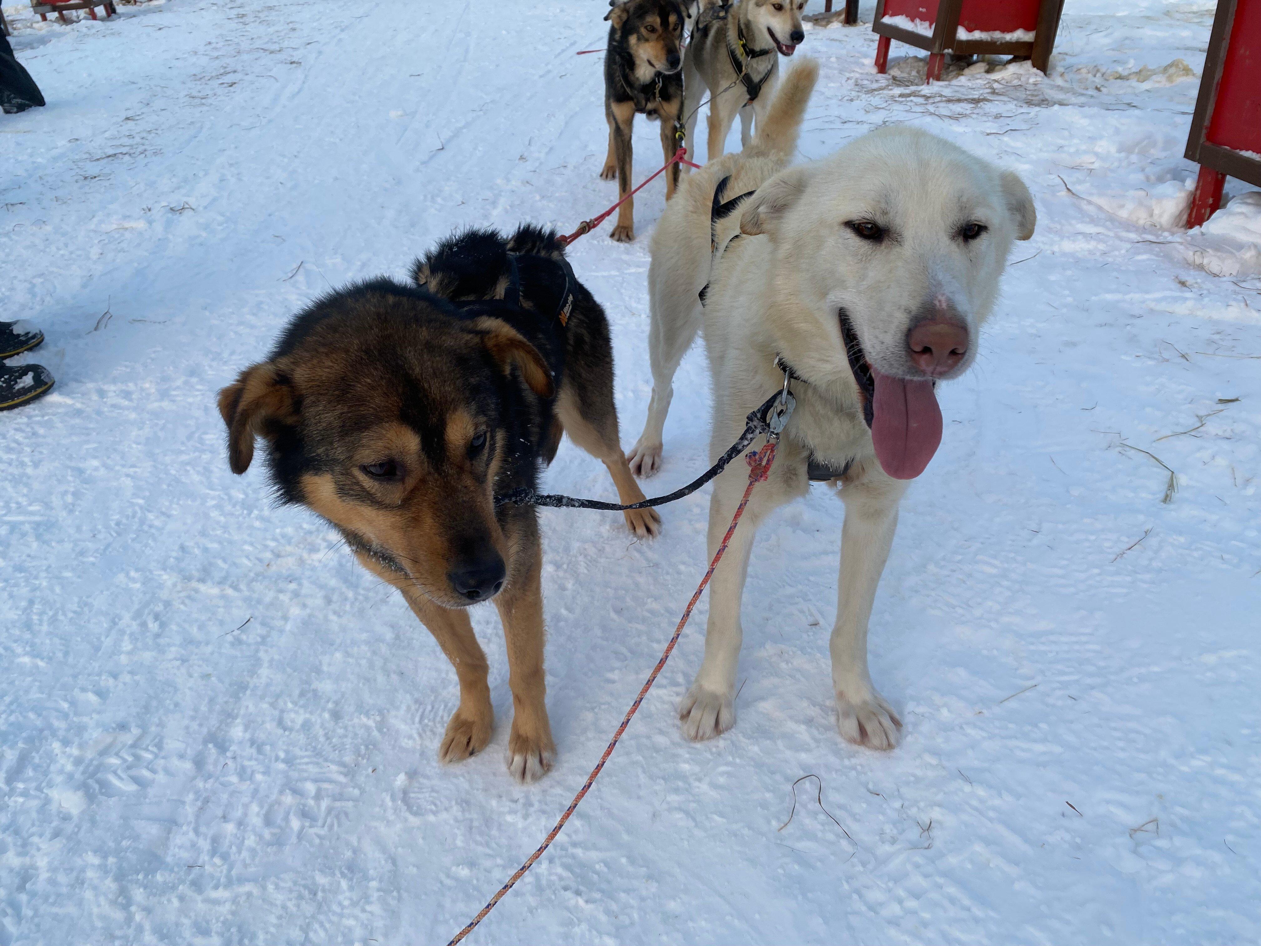 Photo by LarkintheMorning