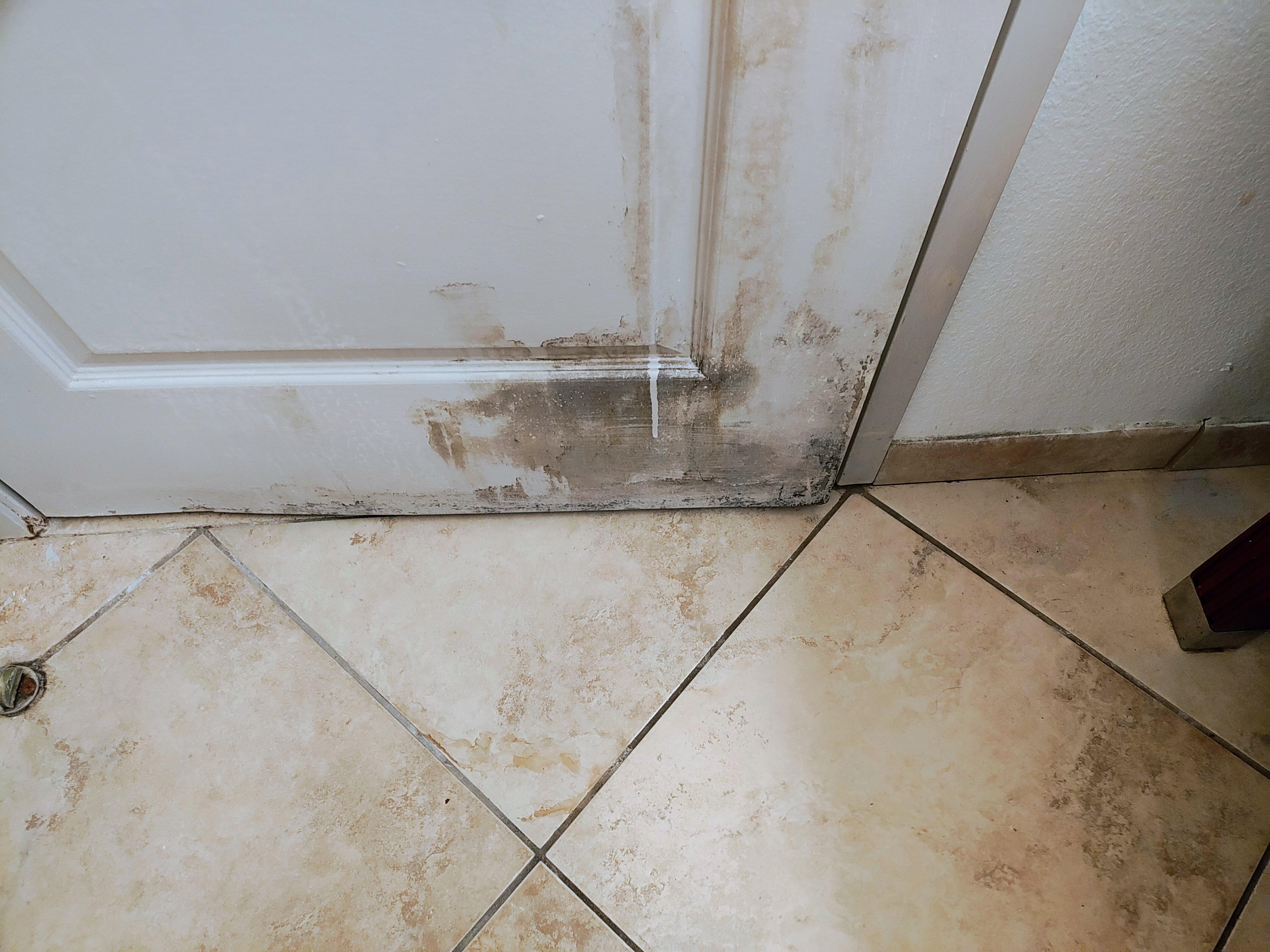 Seffner Inn and Suites