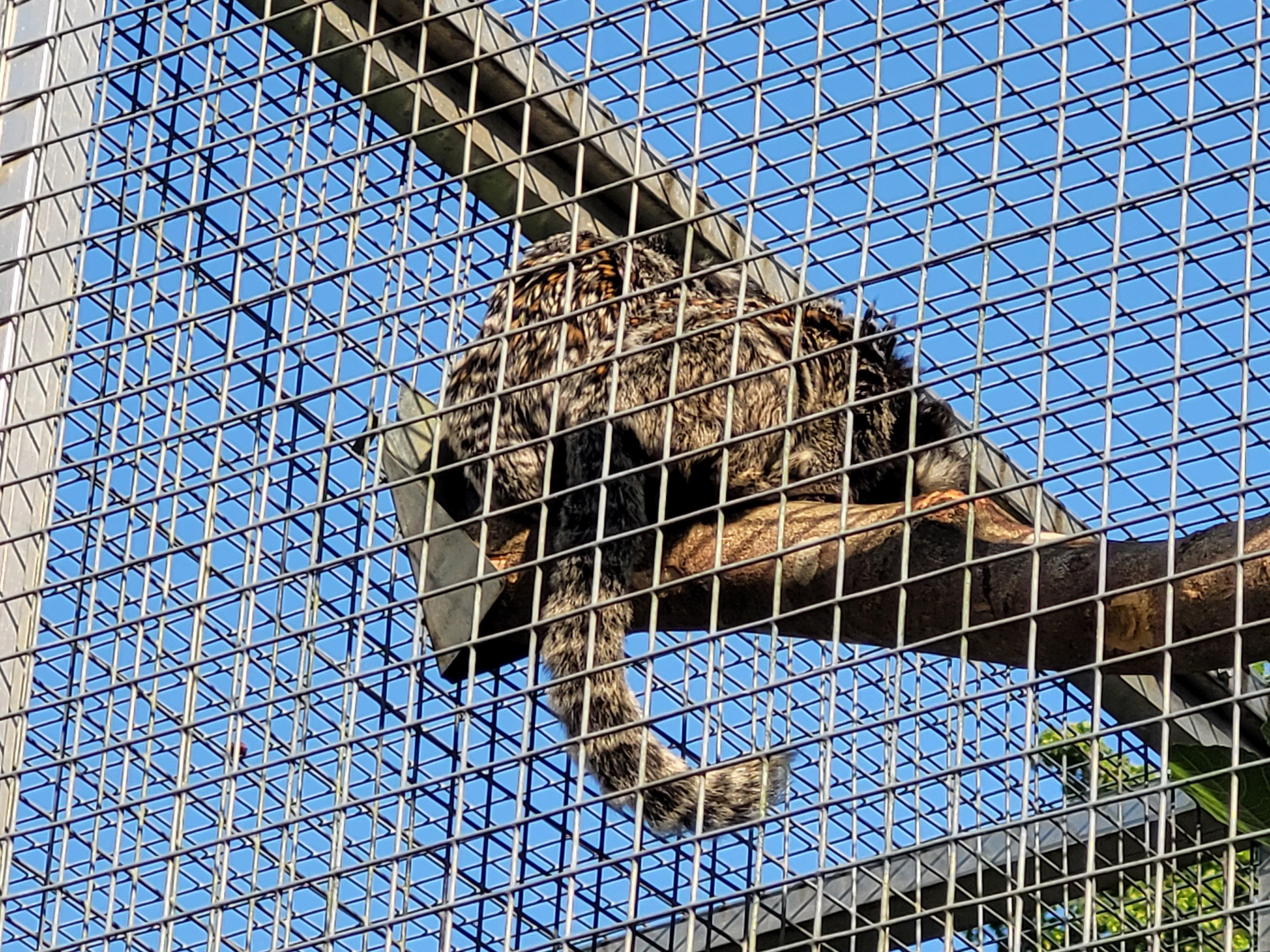 Tierpark Bad Zurzach