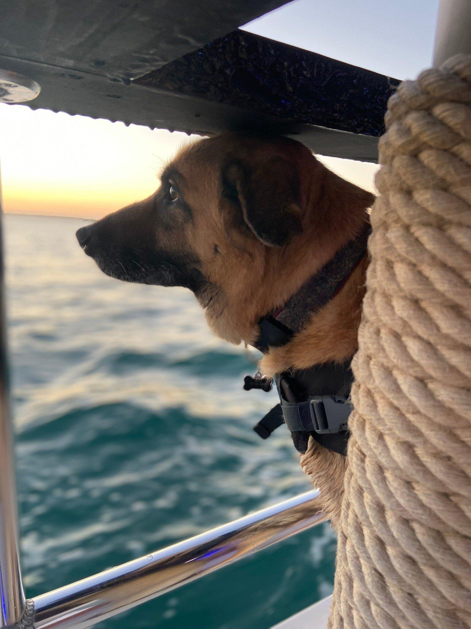 Key Largo Tiki Tours