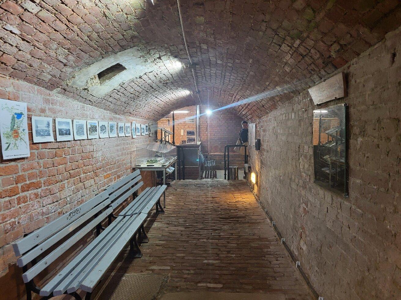 Chemnitzer Gewölbegänge e.V.