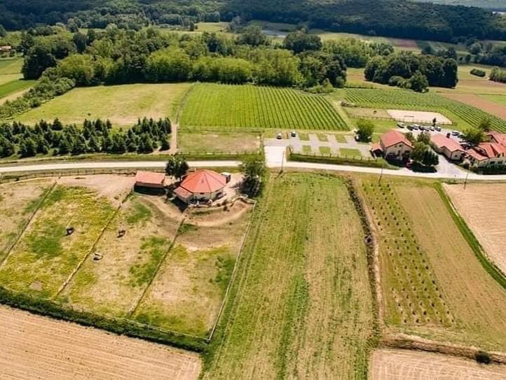 Rooms & Apartment Vinia