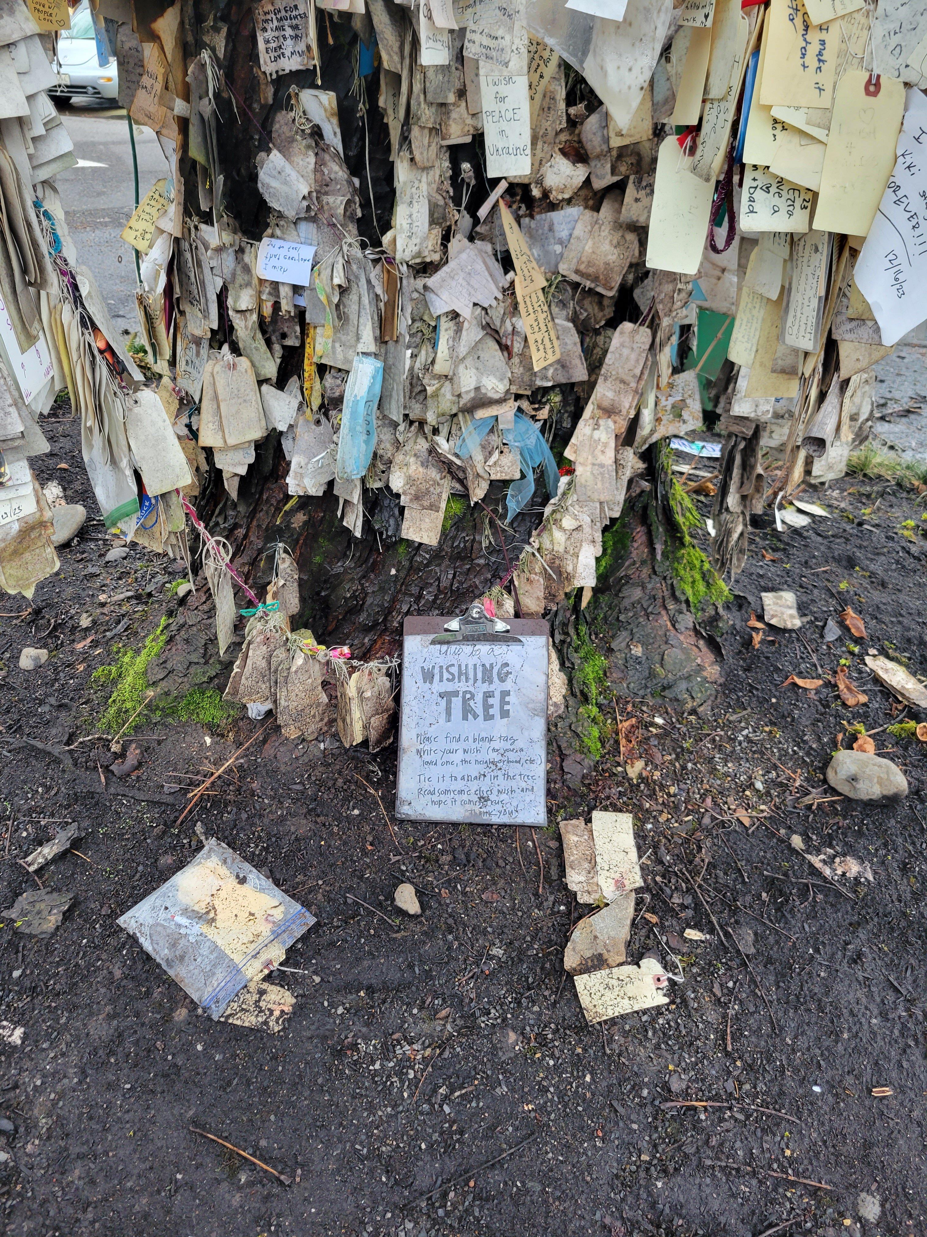 The Wishing Tree