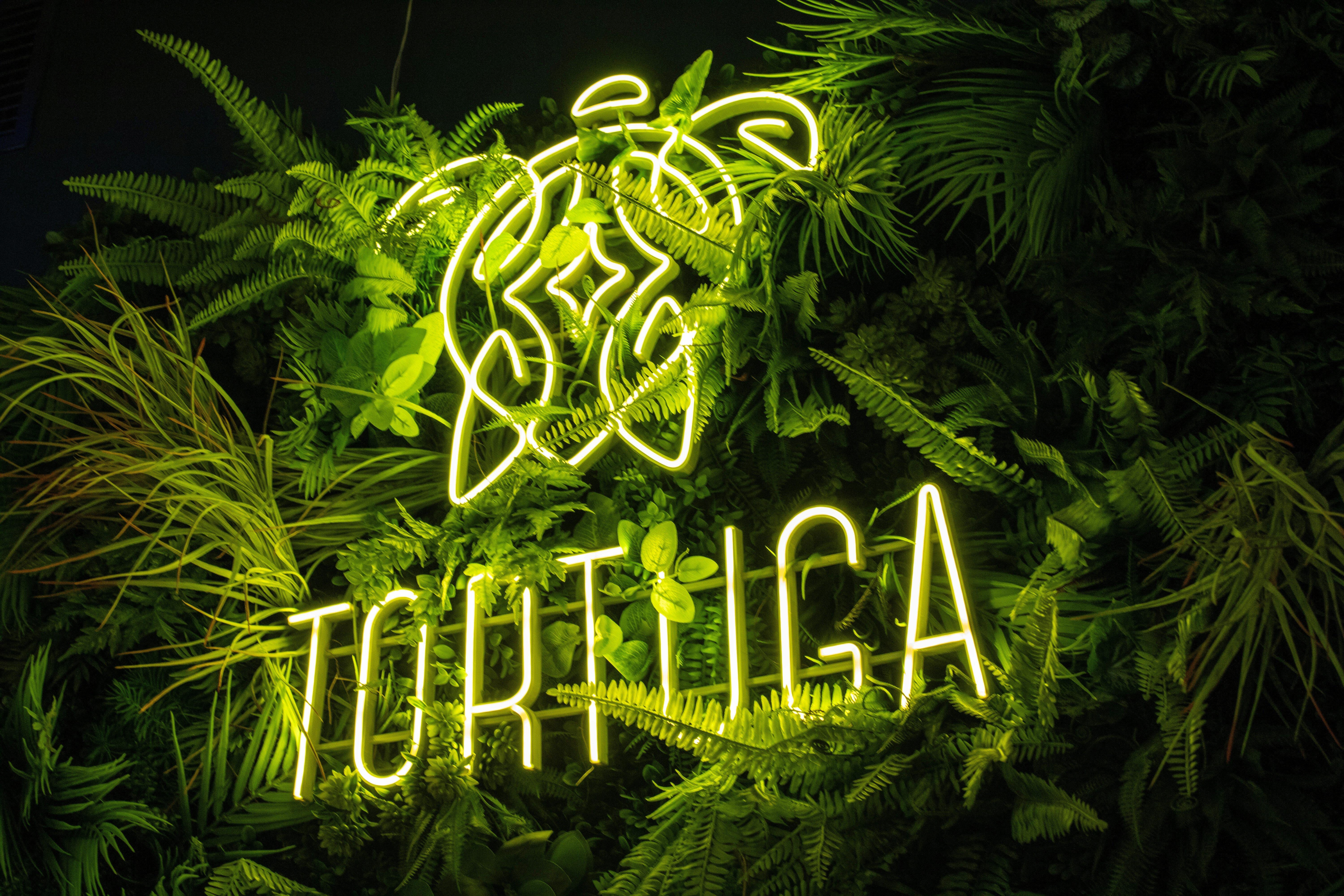 Restauracja Tortuga Food & Cocktails