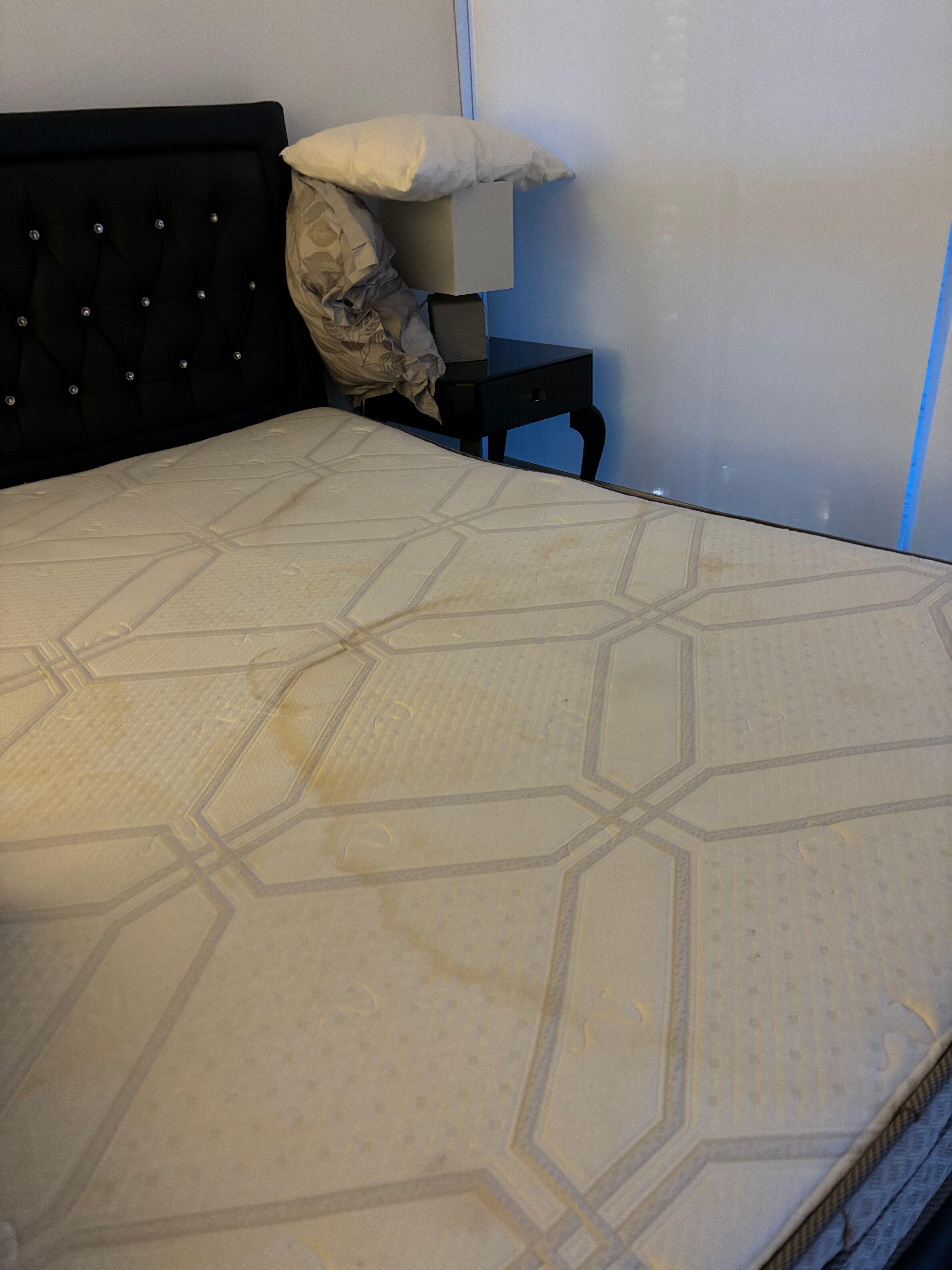 Waterfront Boutique Suites