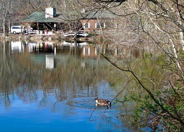 Closter Nature Center