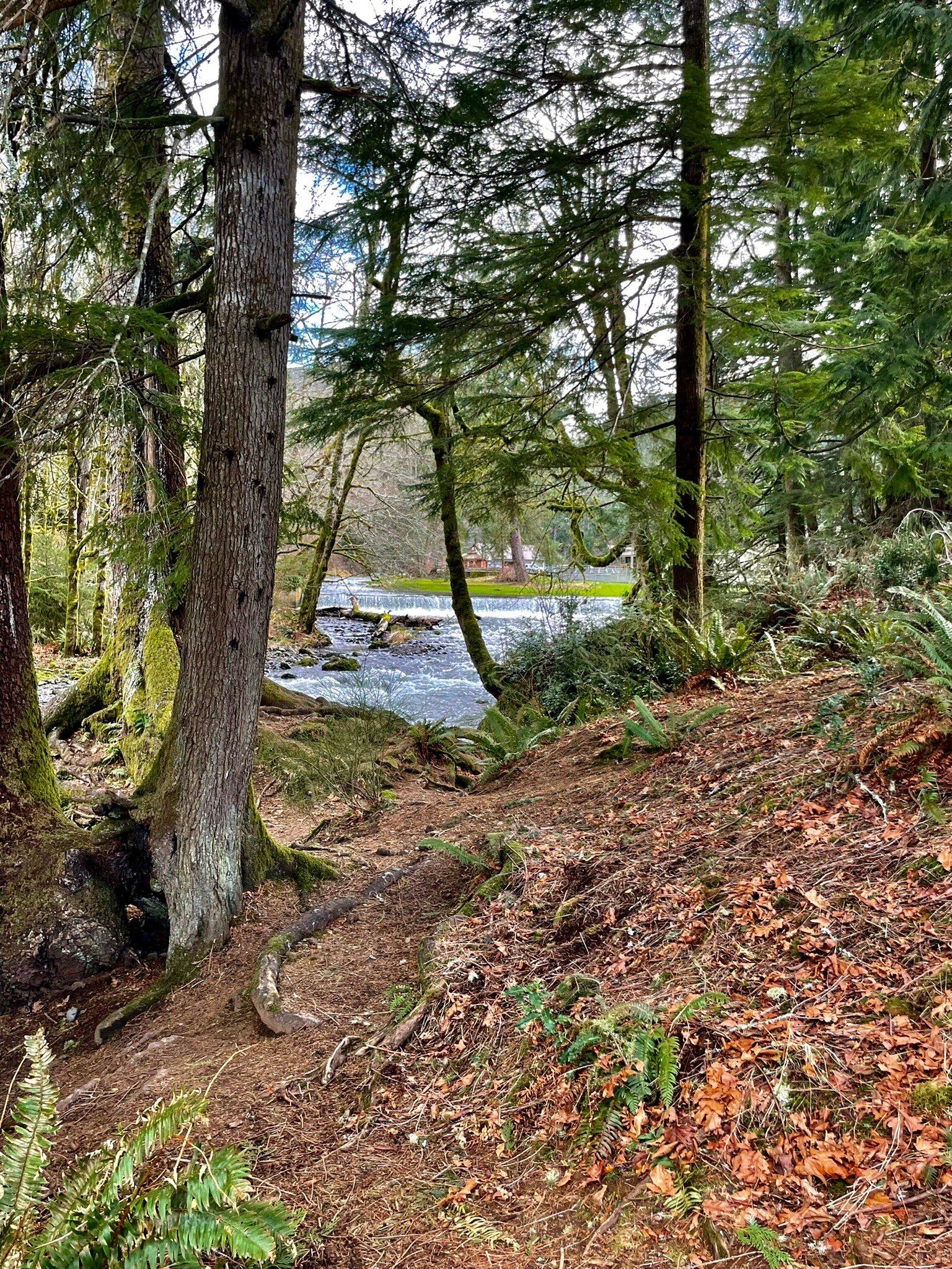 Big Creek Fish Hatchery