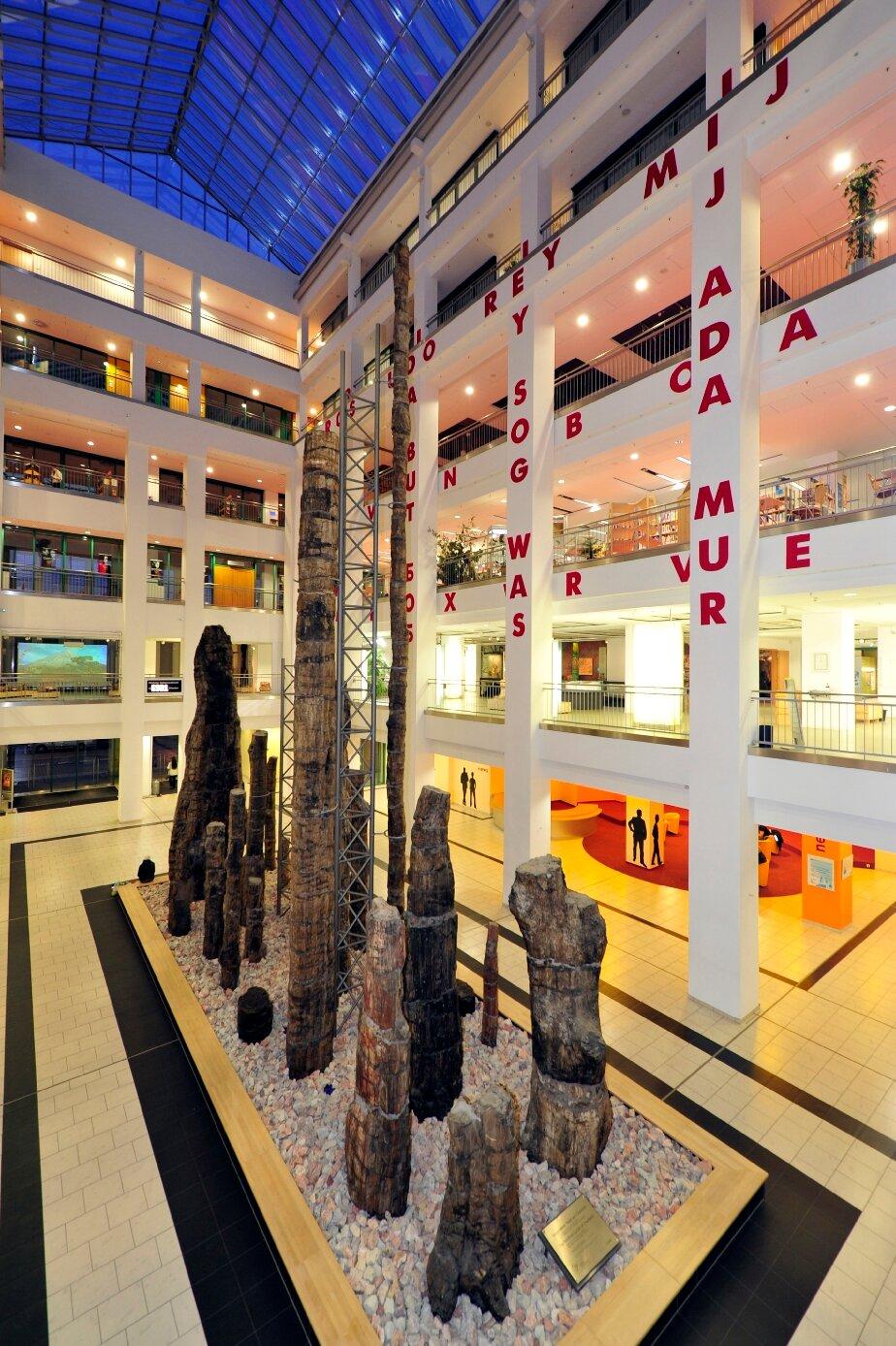 Photo by danielzW6827MS