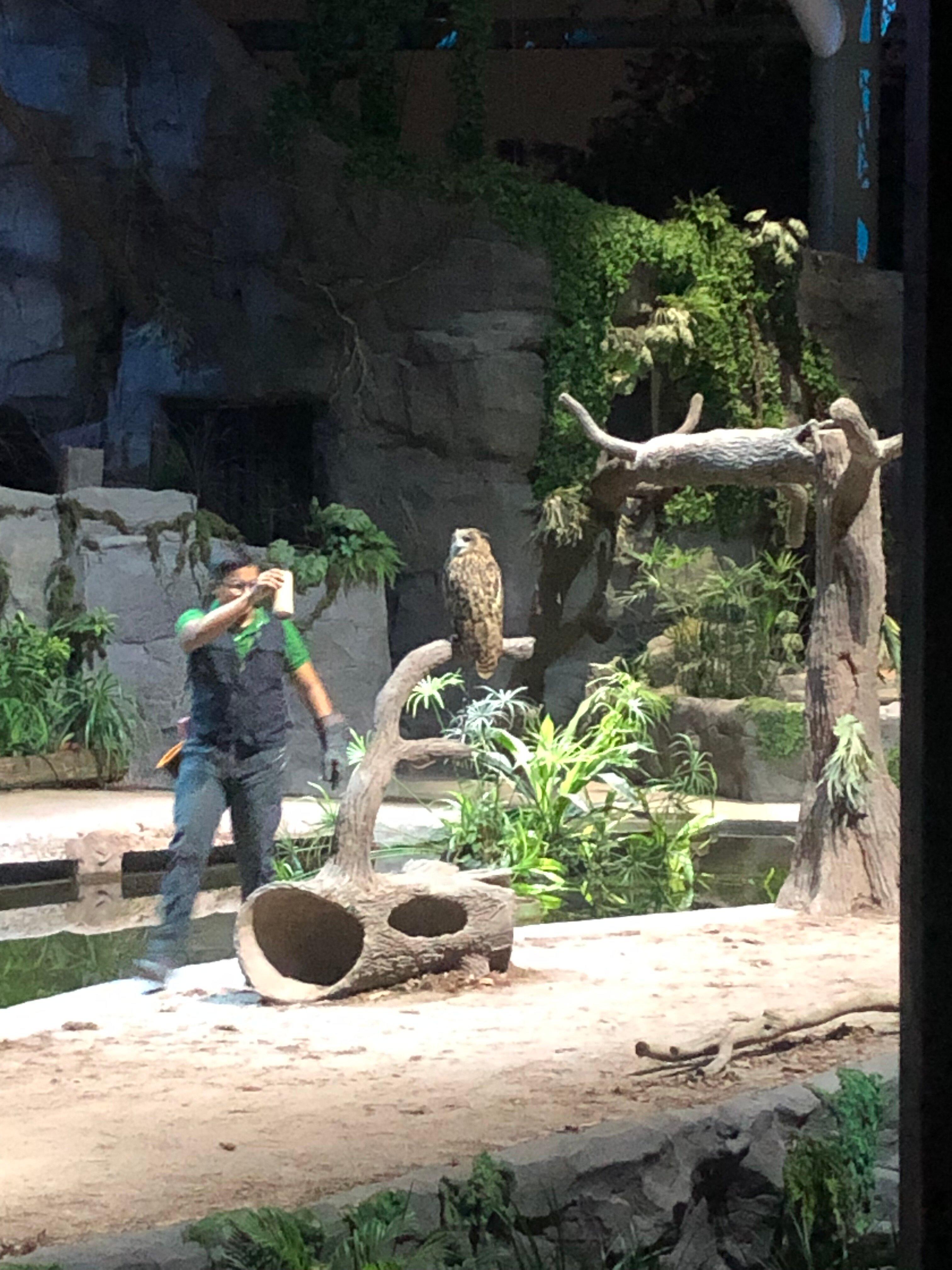 Photo by 194mar_aceciliar